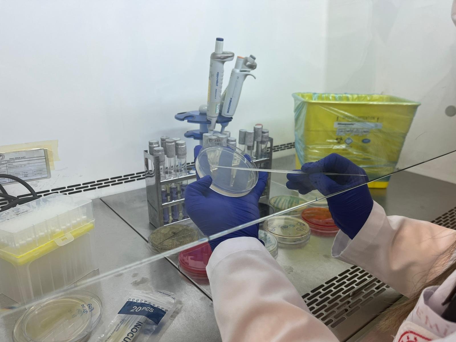 Gıda Analiz Süreci