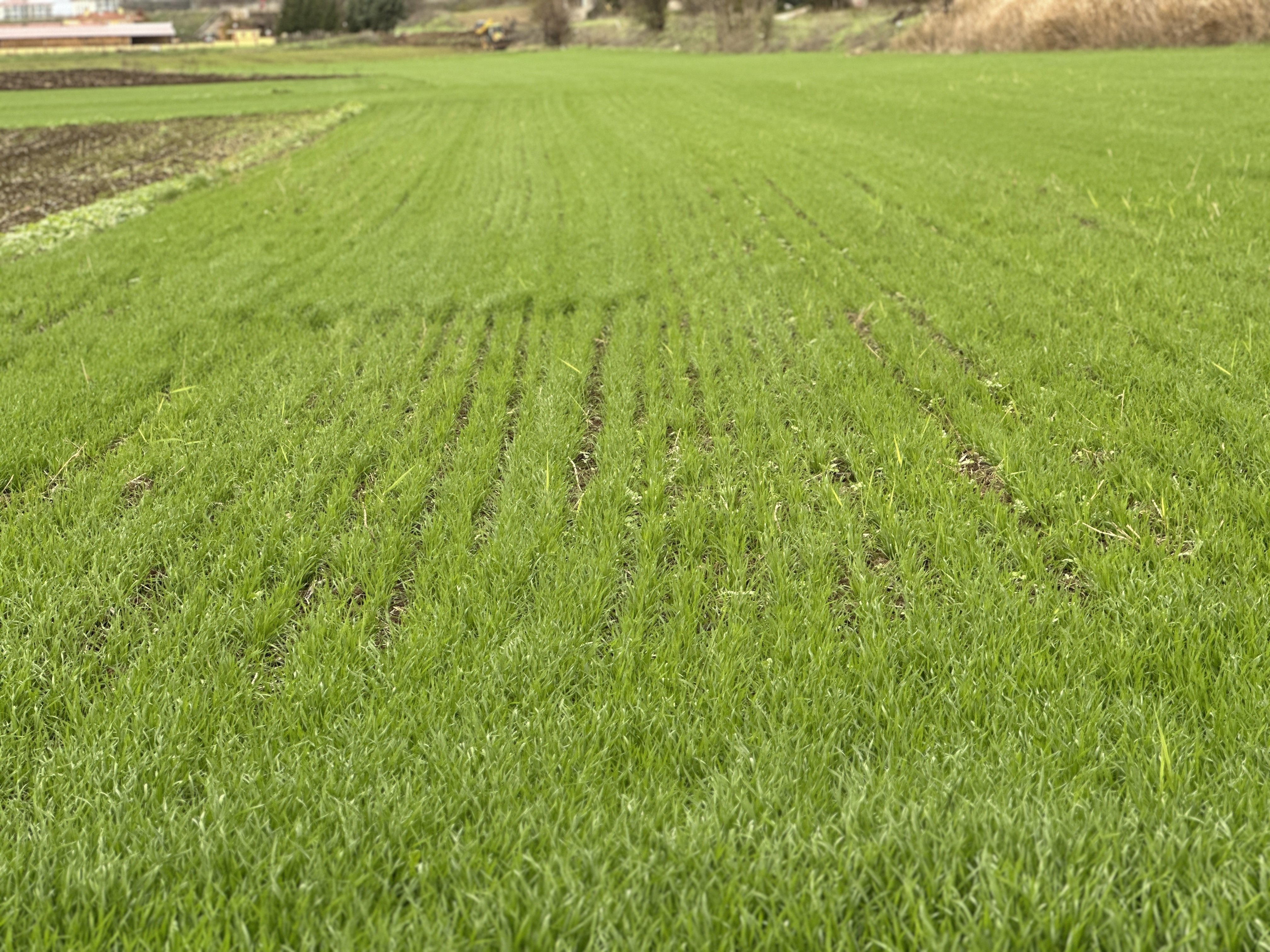 Edirne iklim değişikliği tarım