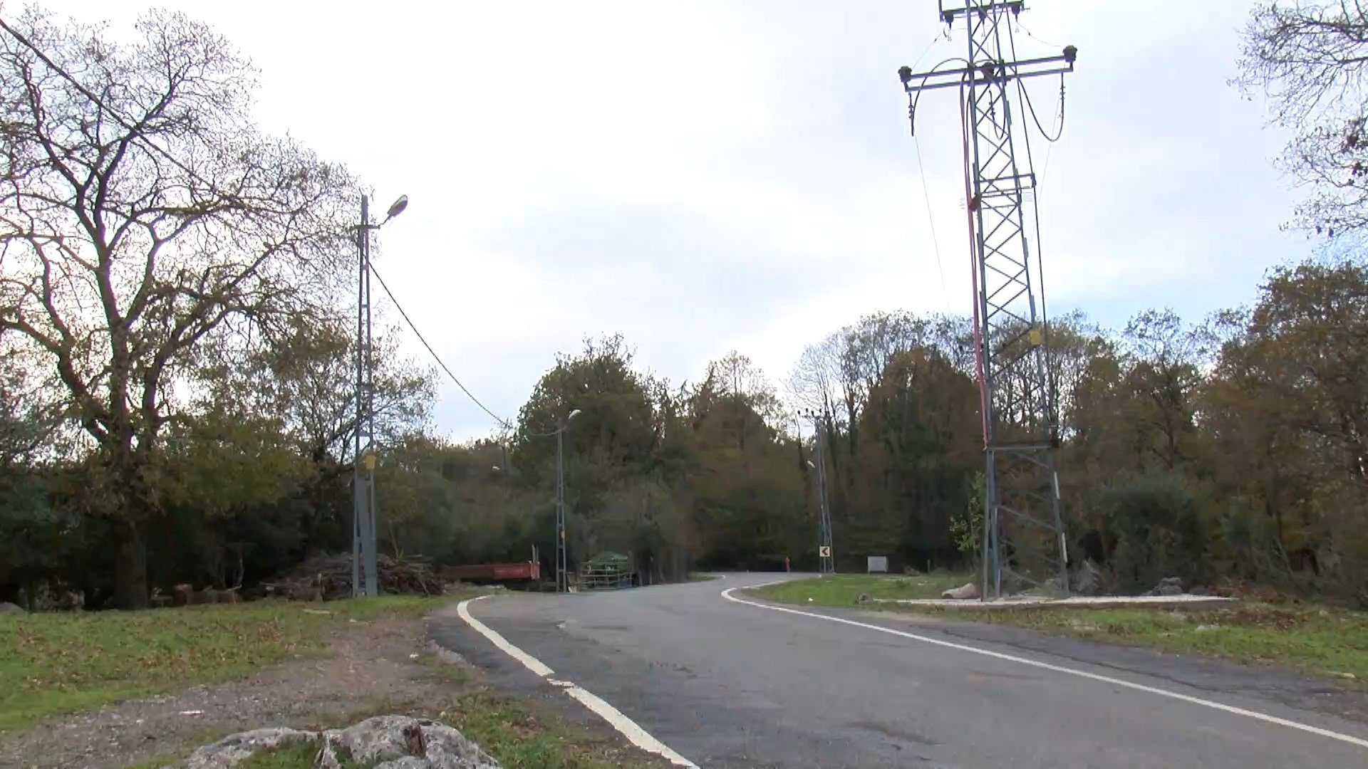 Şile Hayvan Sağlığı