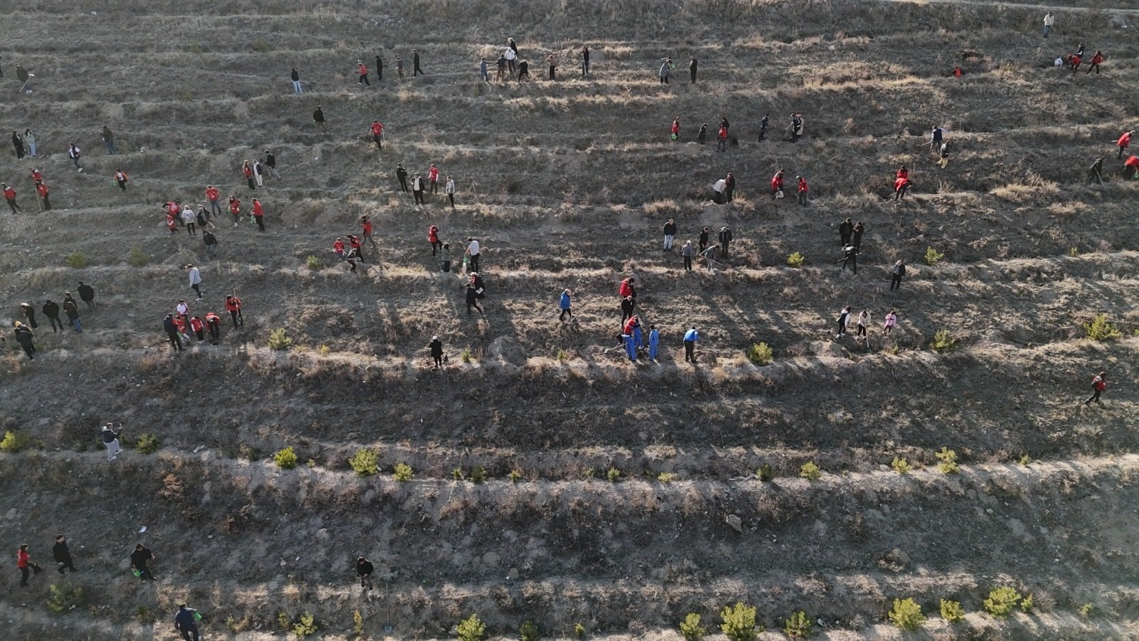 AKUT gönüllüleri fidan dikimi