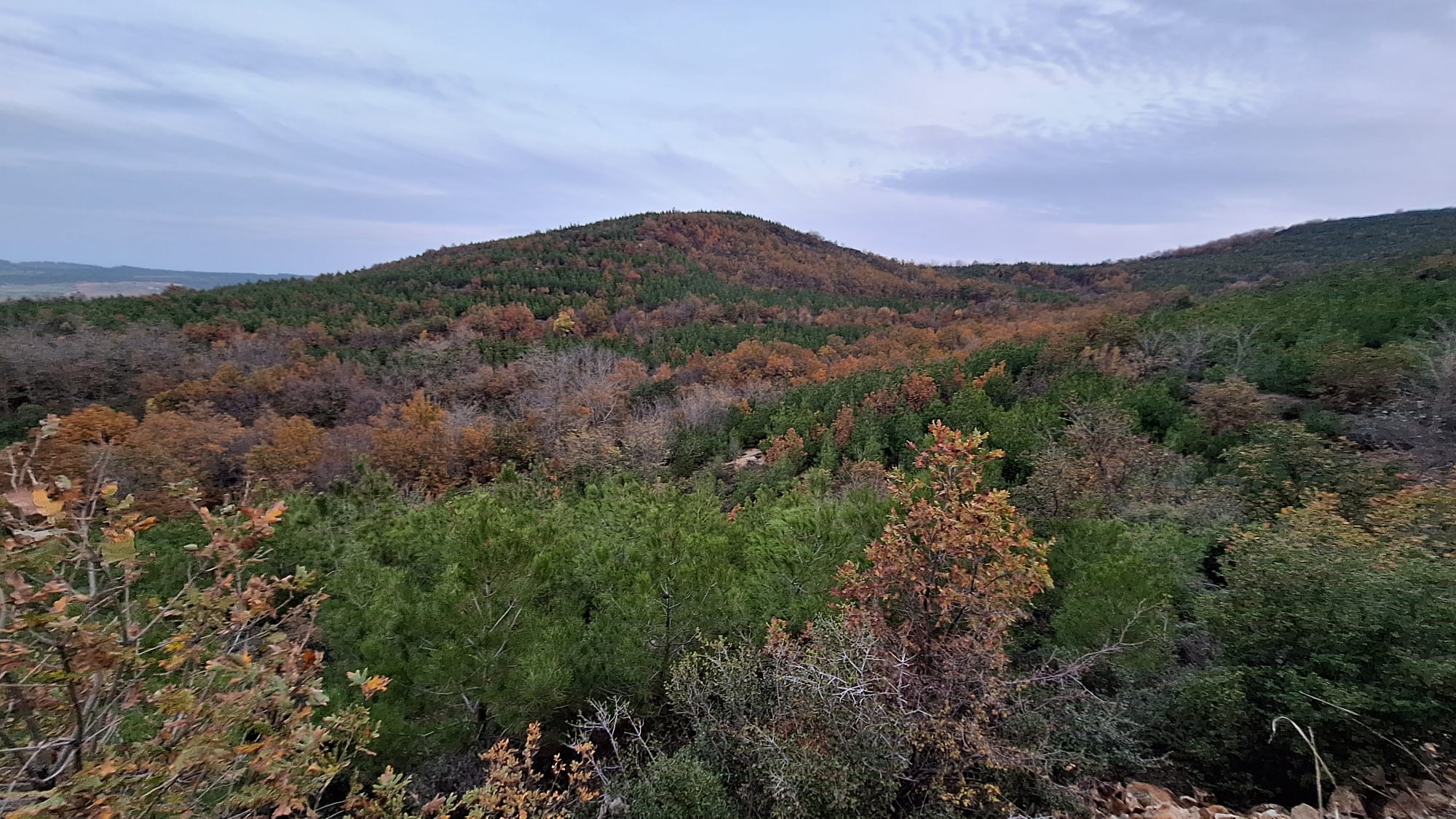 Karlıköy andezit taş ocağı projesi