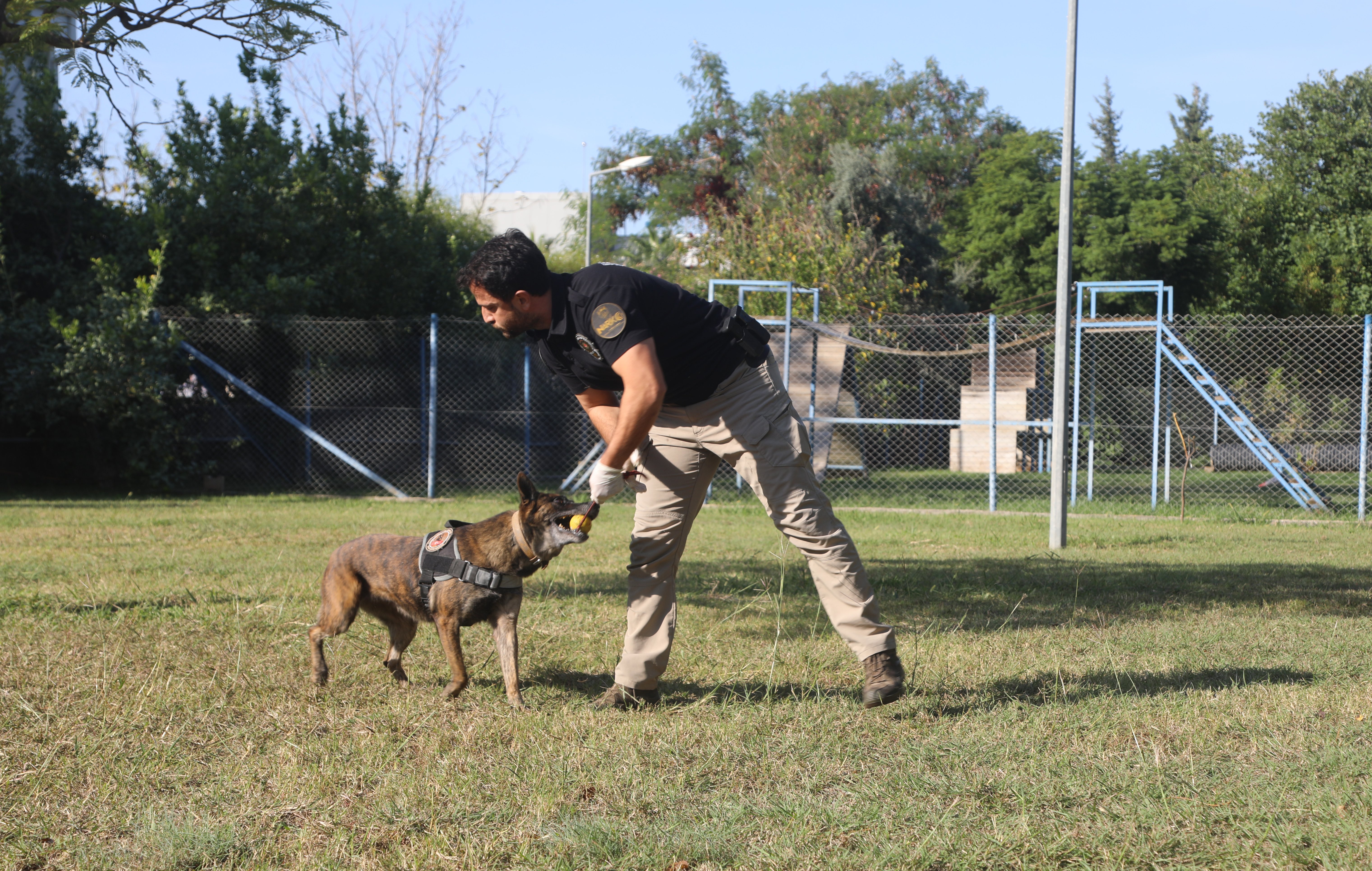 Narkotik köpeği eğitimi
