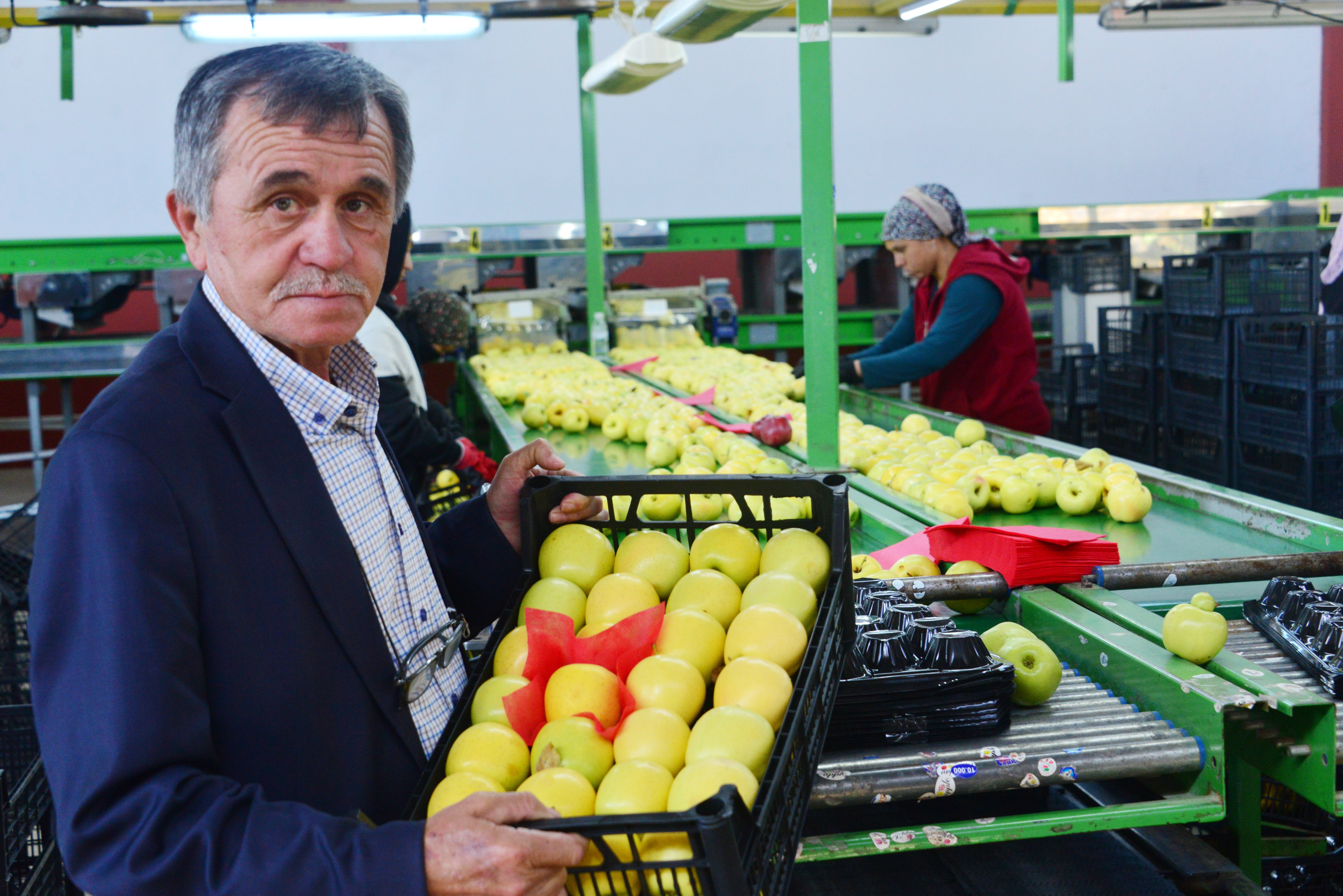 Eğirdir elma üreticisi