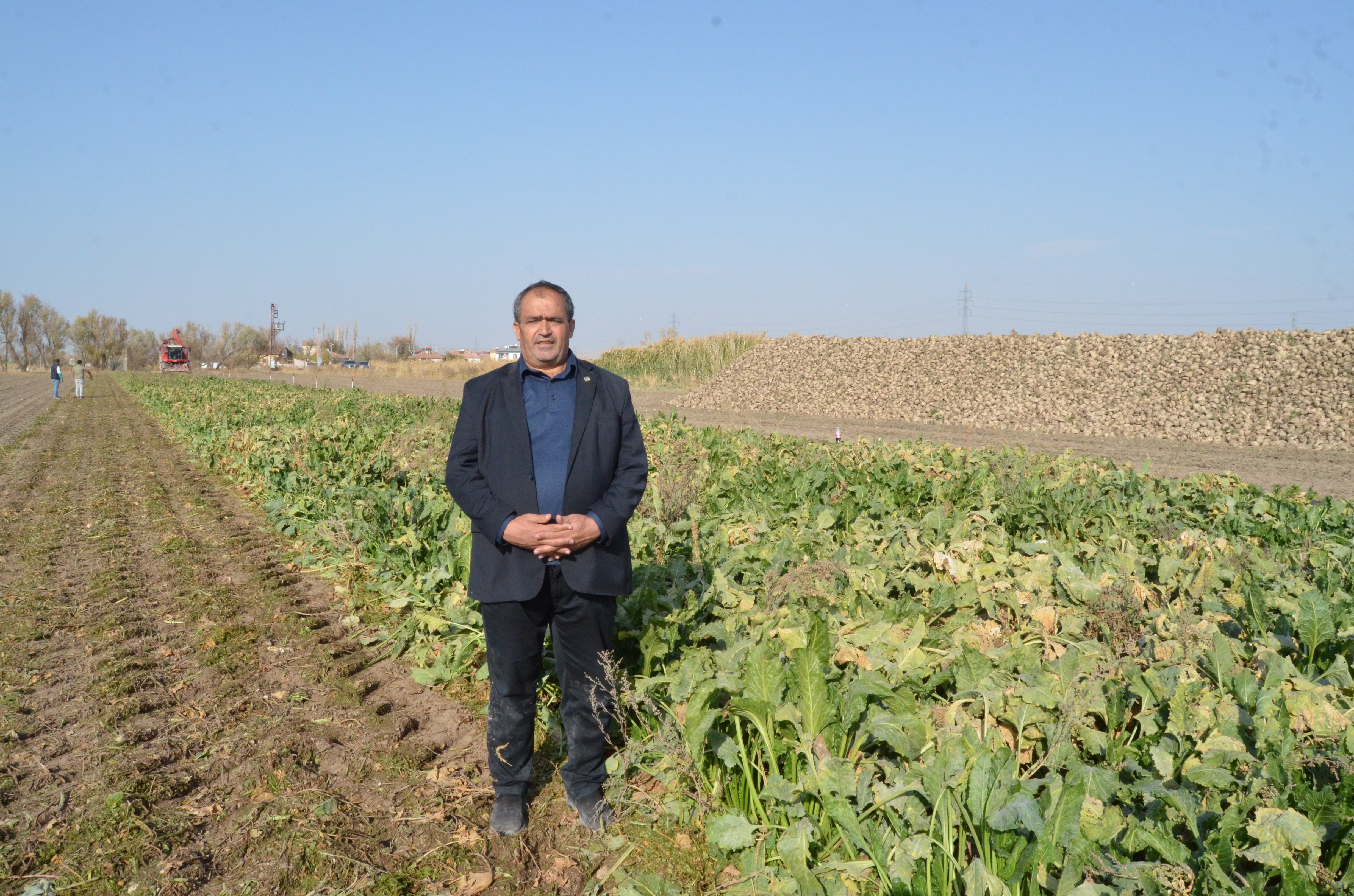 Aksaray şeker pancarı hasadı