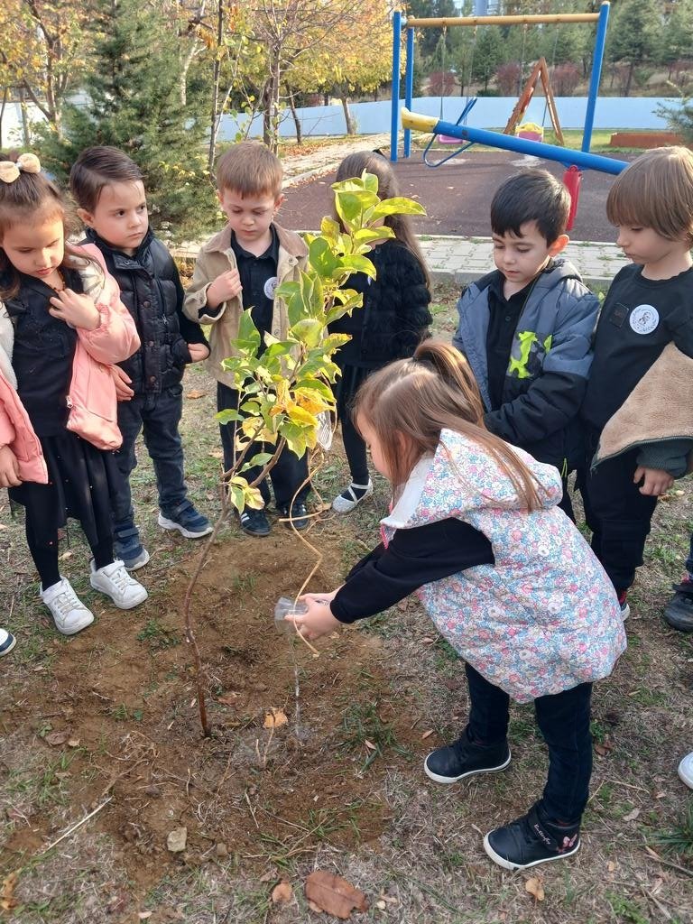 MEB Fidan Dikim Etkinliği