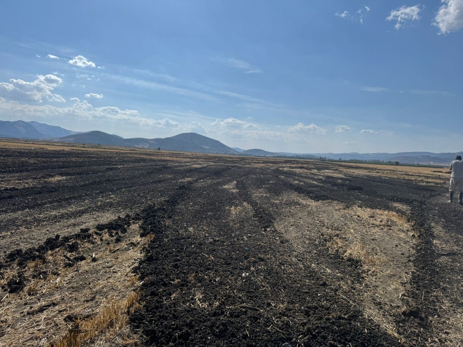 Arıtma Çamuru Skandalı