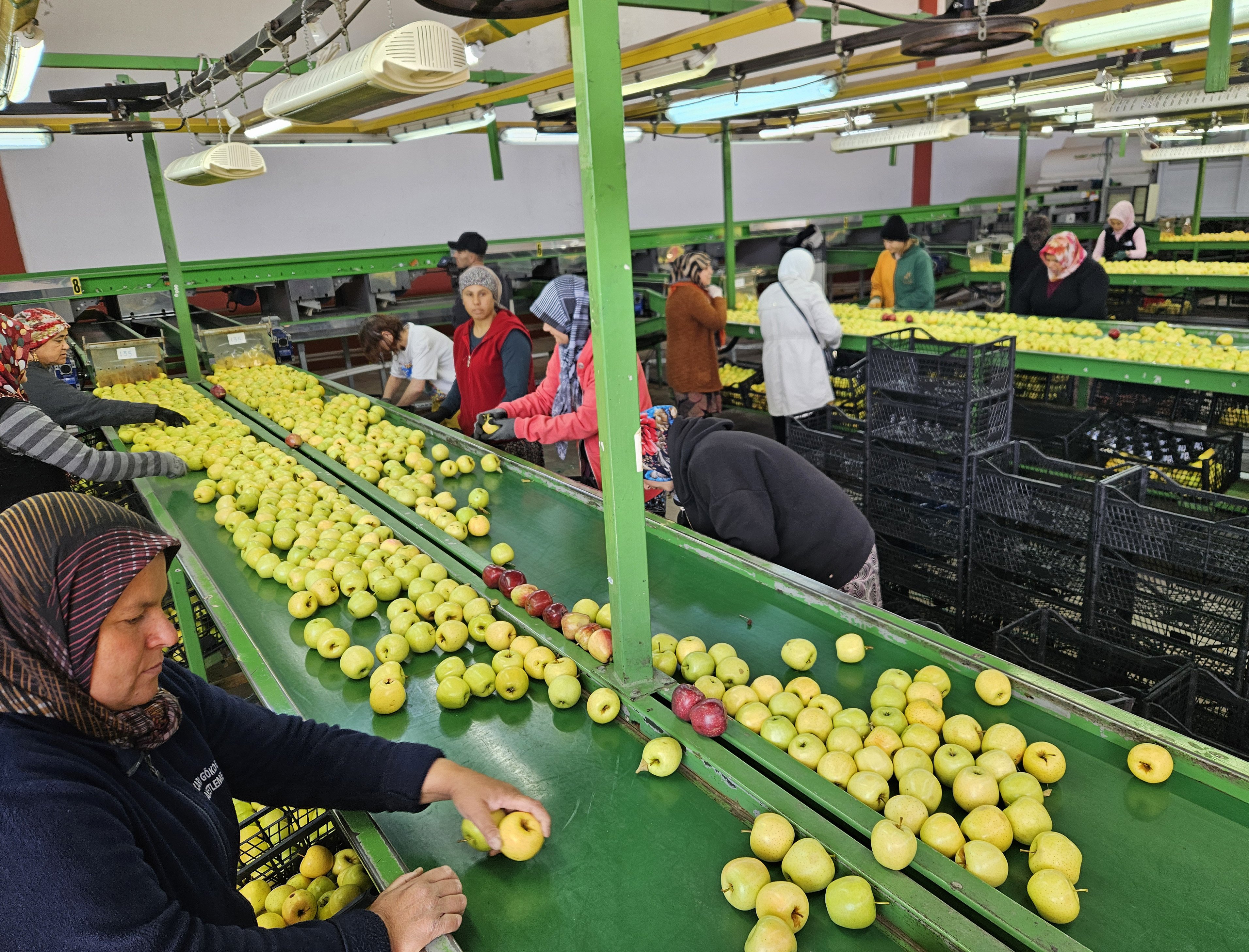 Eğirdir elma fiyatları