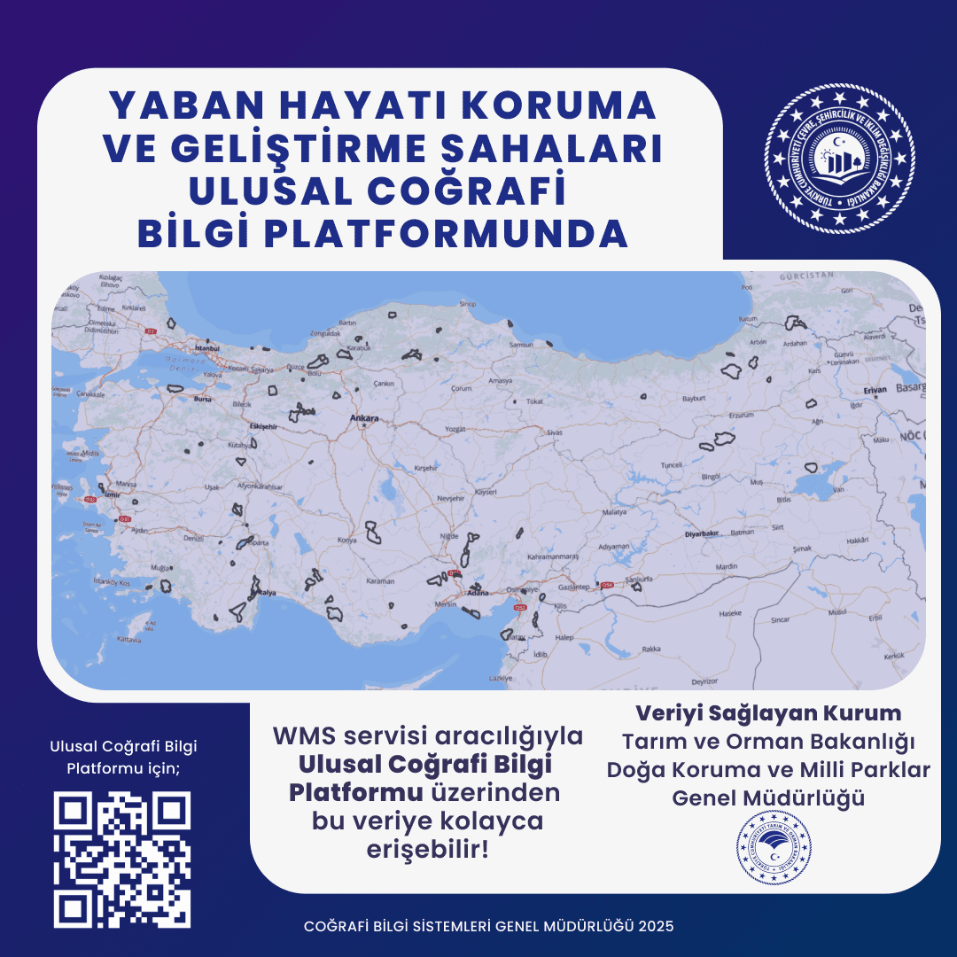 Hazine Parselleri Haritası