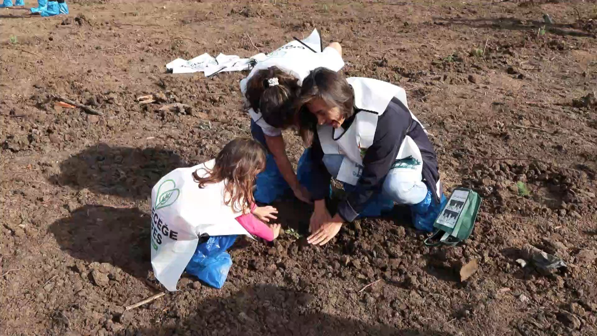 Fidan dikim çalışmaları