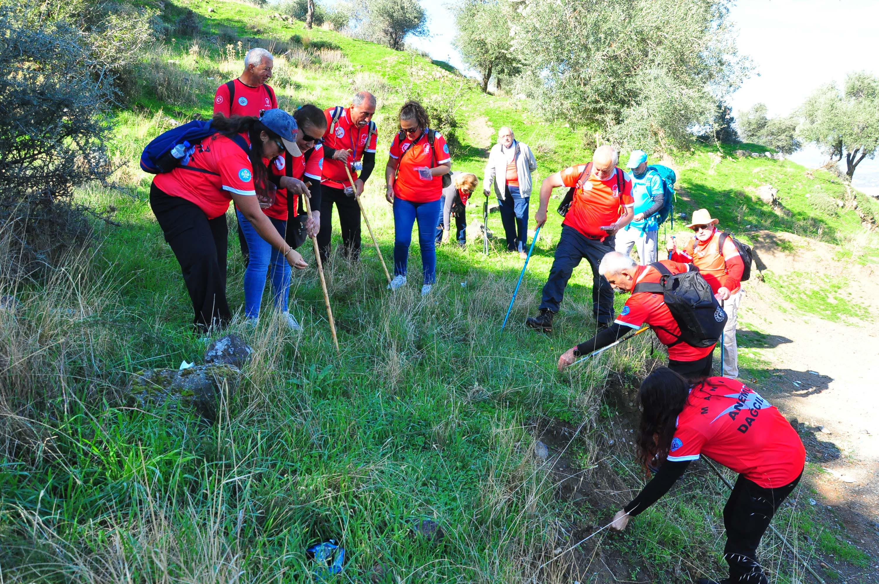 Yeşil Vatan tohum çeşitleri