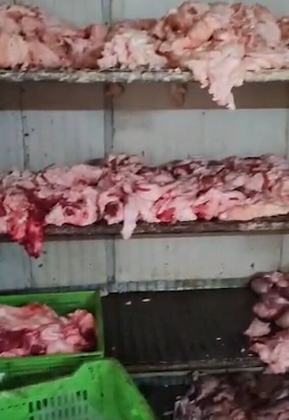 Çanakkale et işleme tesisi denetimi