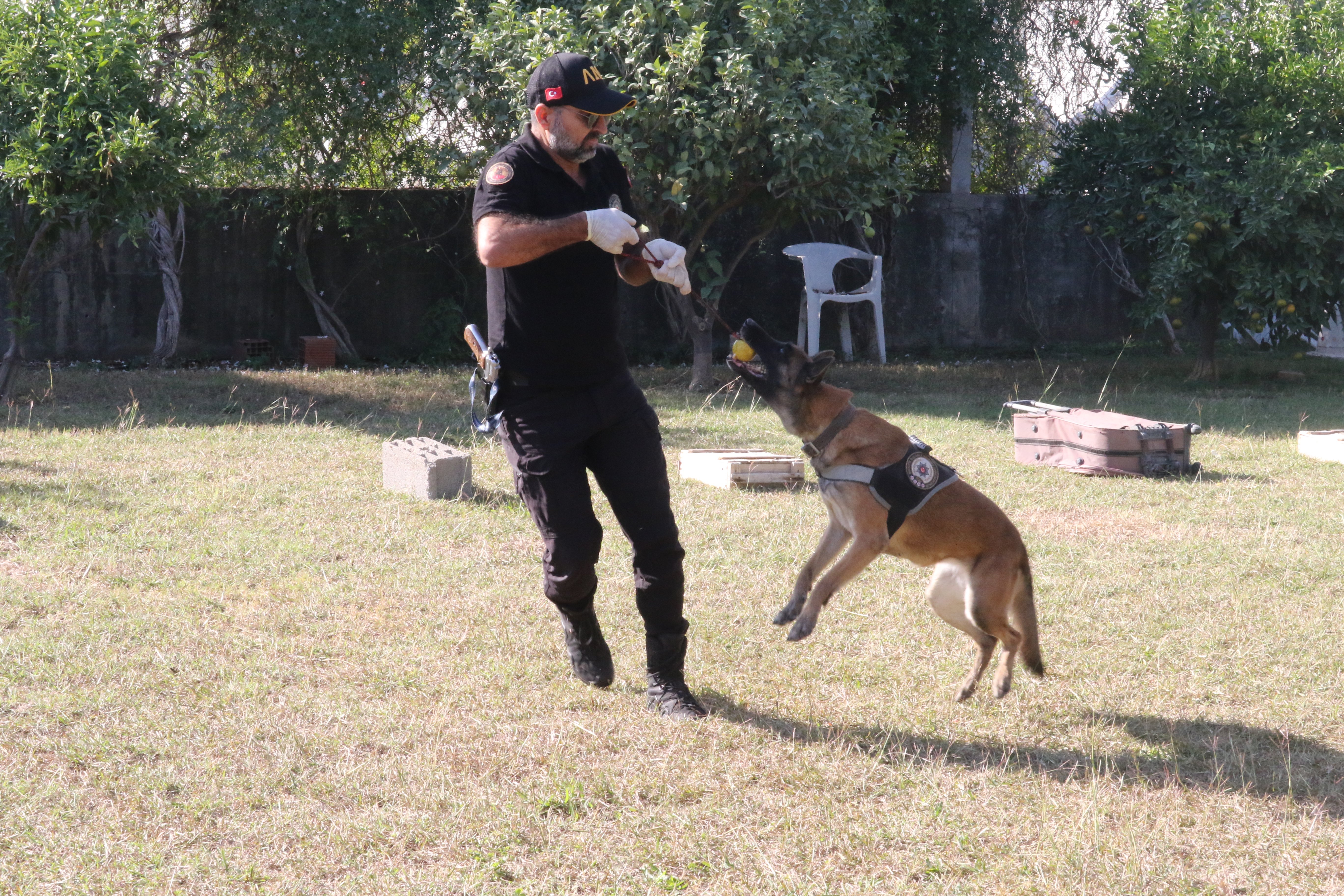 Narkotik köpek eğitmeni