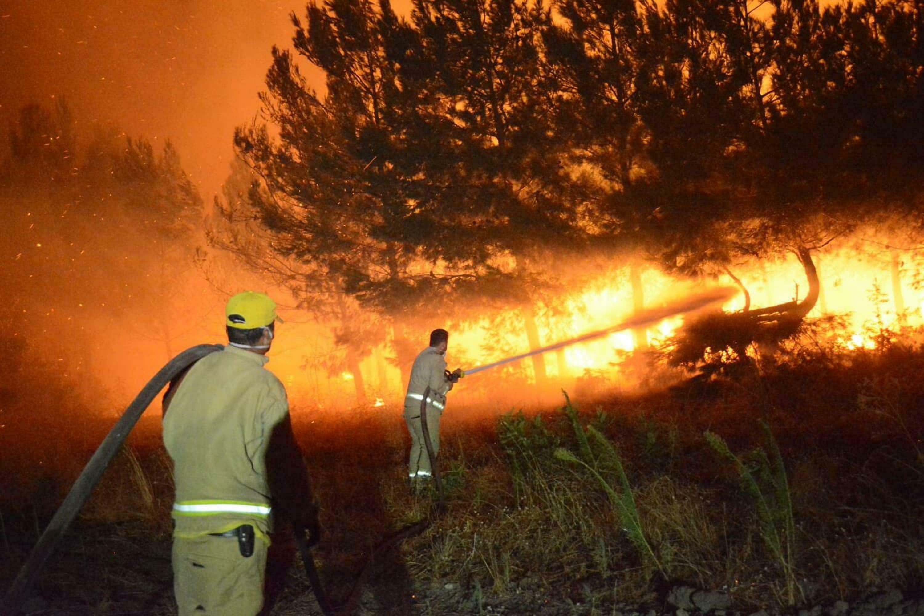 Çanakkale Valisi Yangın Açıklaması