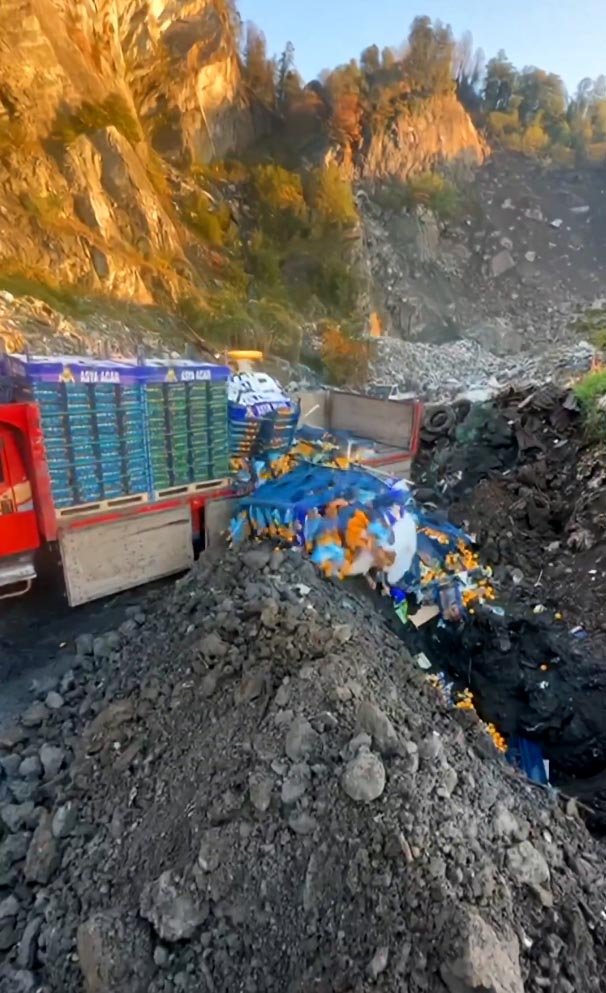 Sarp Sınır Kapısı mandalina imhası