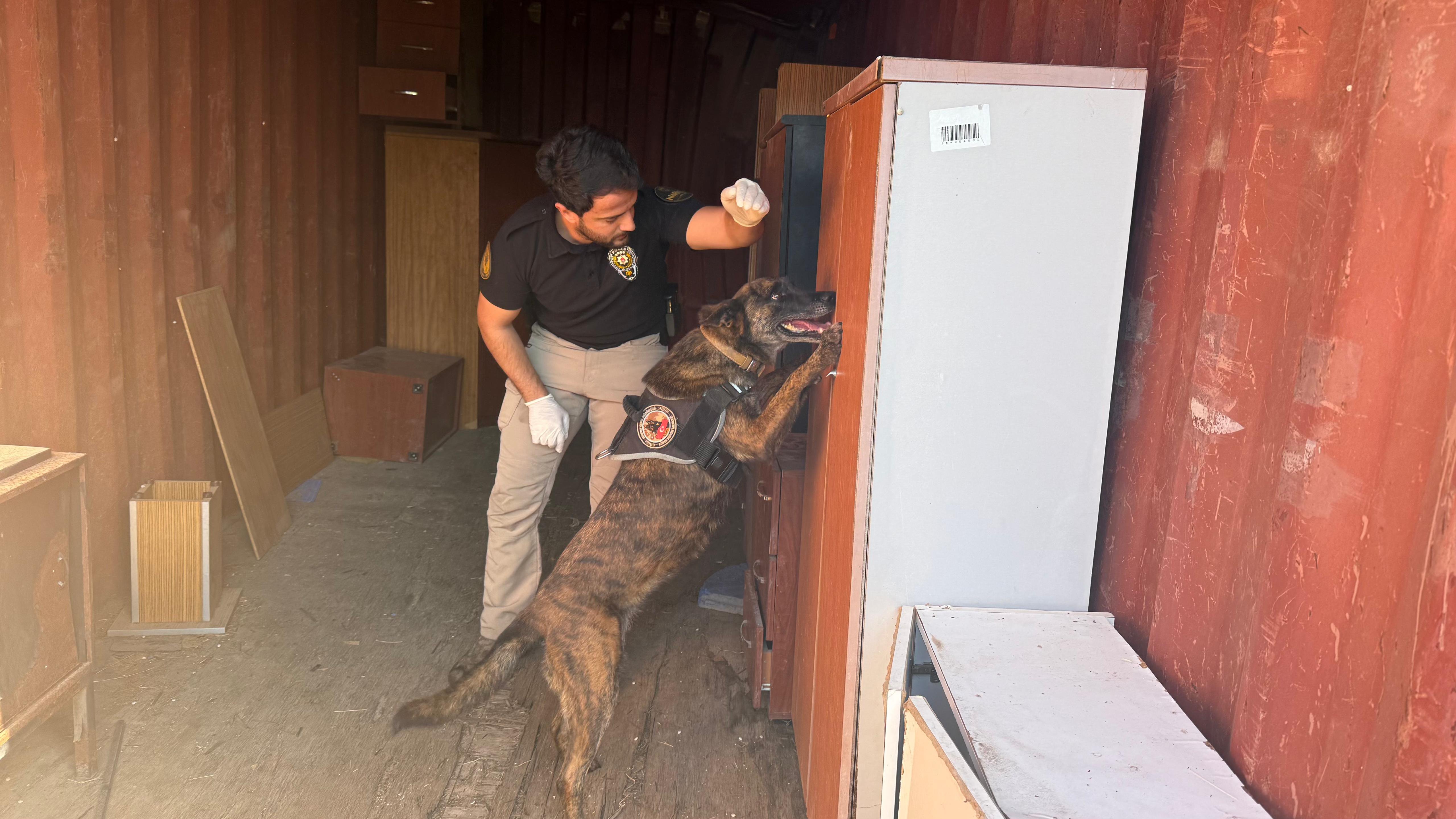 Narkotik köpek çalışması