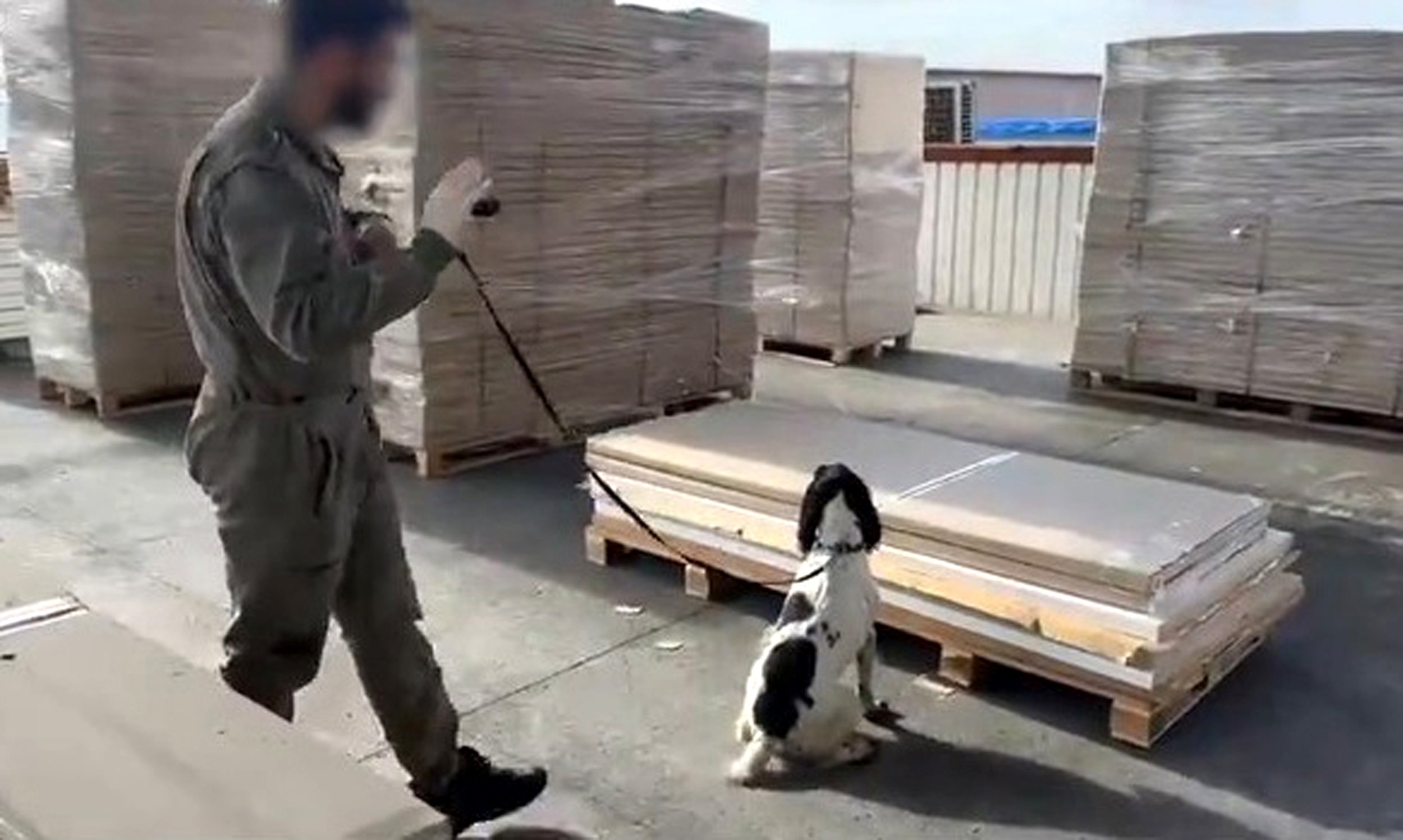 Gümrüklerde uyuşturucu operasyonu