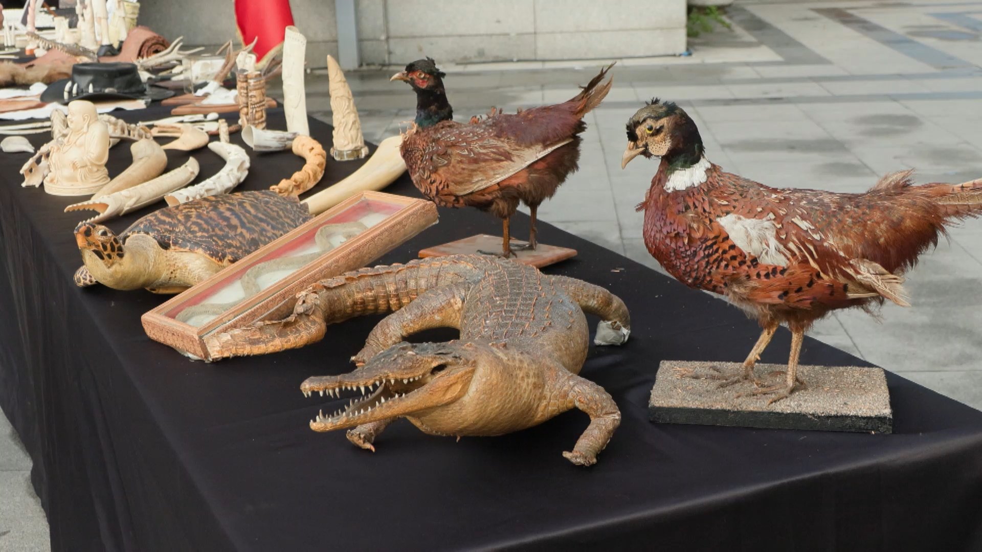 Operasyonda ele geçirilen diğer tarihi objeler