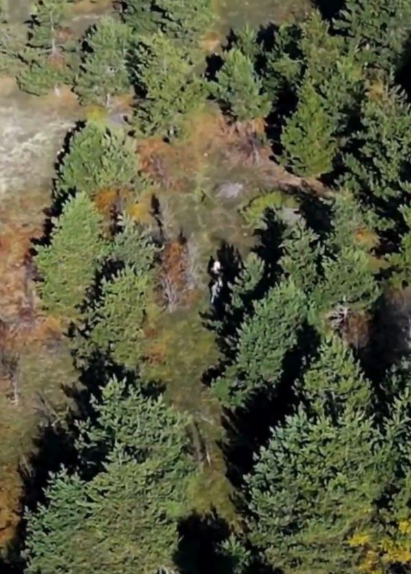 DKMP Kastamonu Denetim Dron Görüntüsü