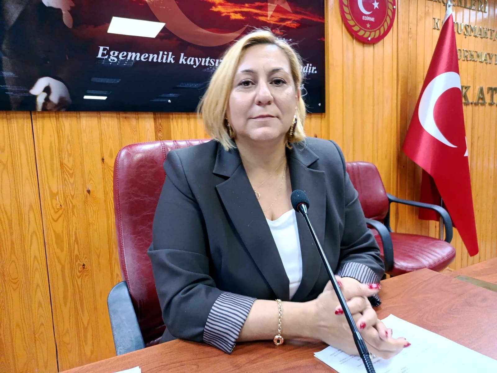 Çiğdem Gegeoğlu sınır güvenliği projesi açıklaması