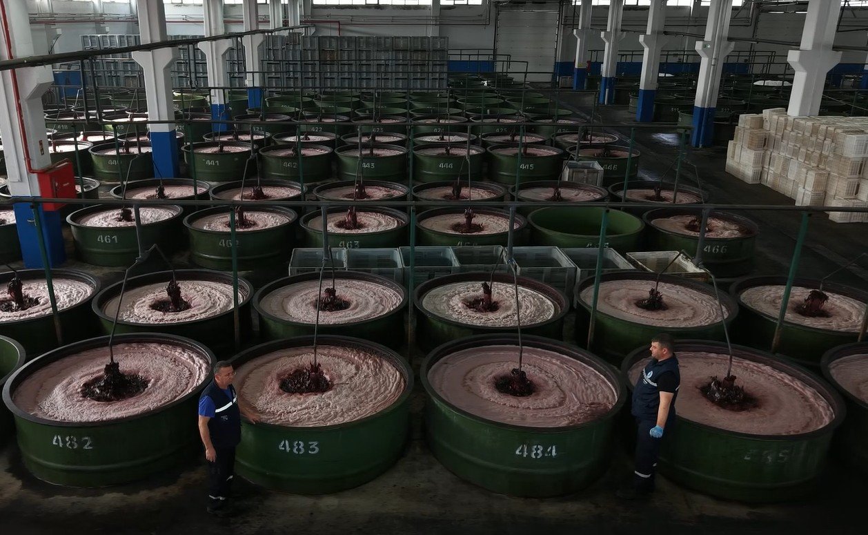 Kumanya Lojistik ve Paketleme