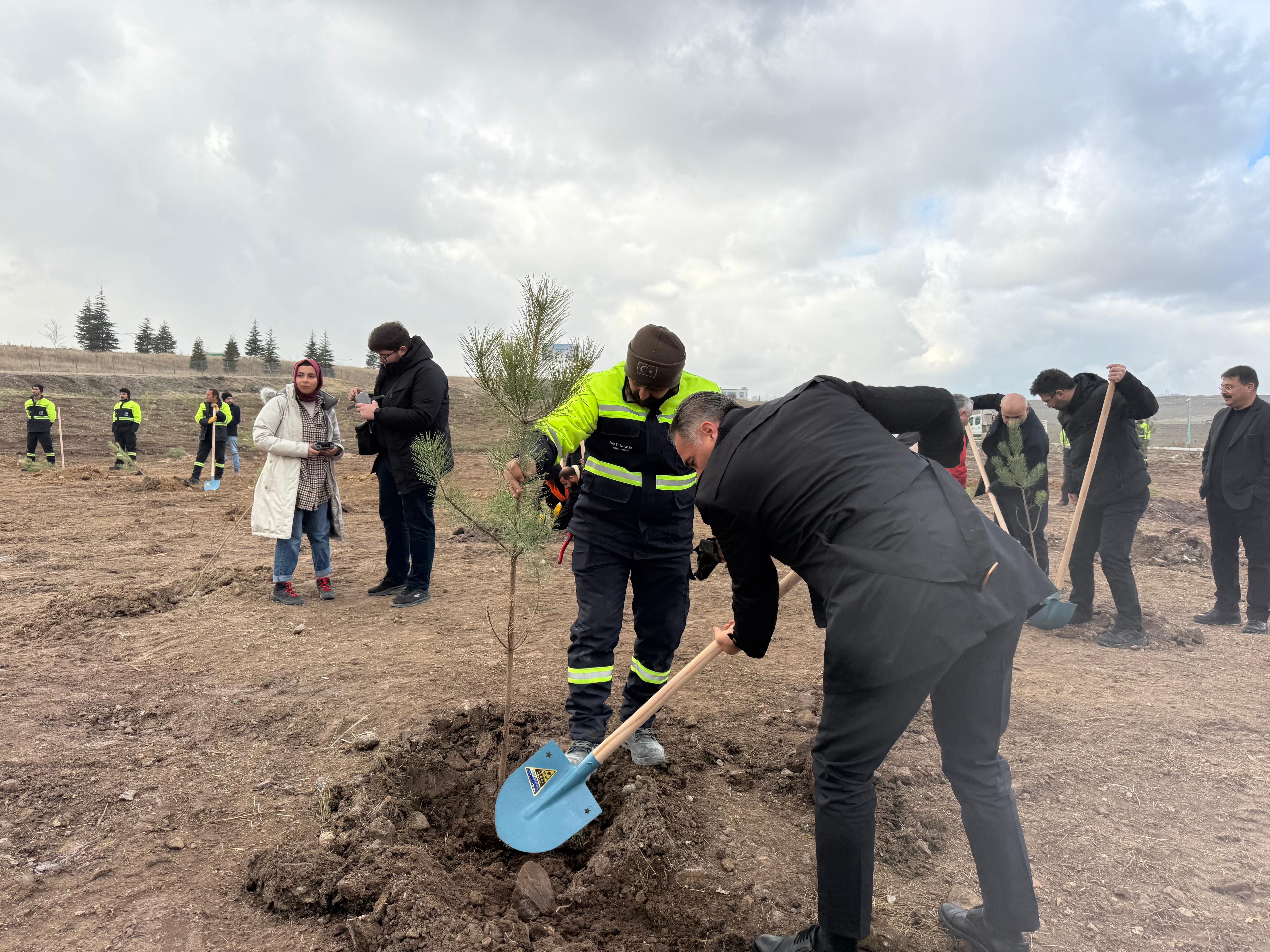 Pursaklar Belediye Başkanı Ertuğrul Çetin fidan dikiyor