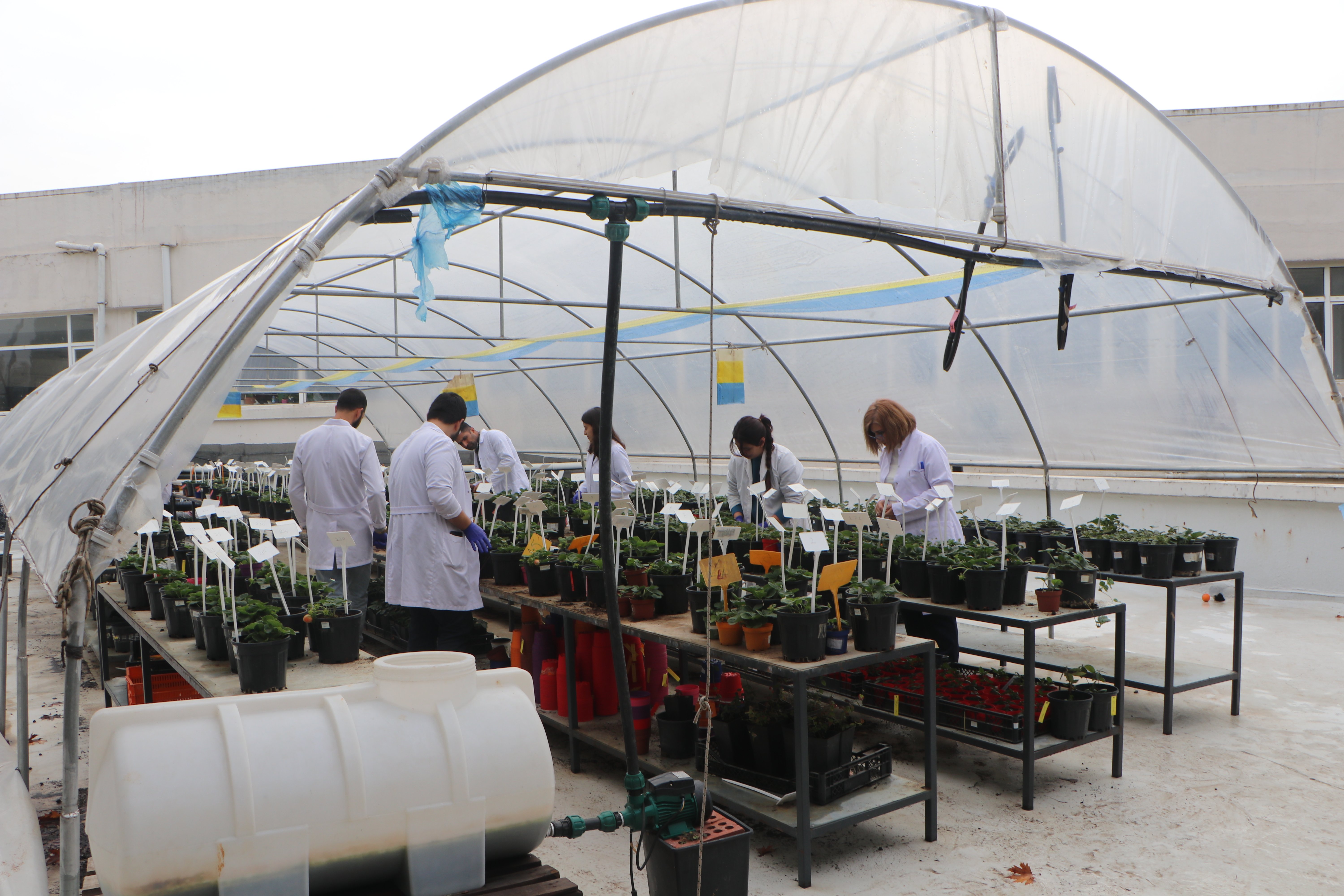 Hakan Fidan Dışişleri Bakanlığı