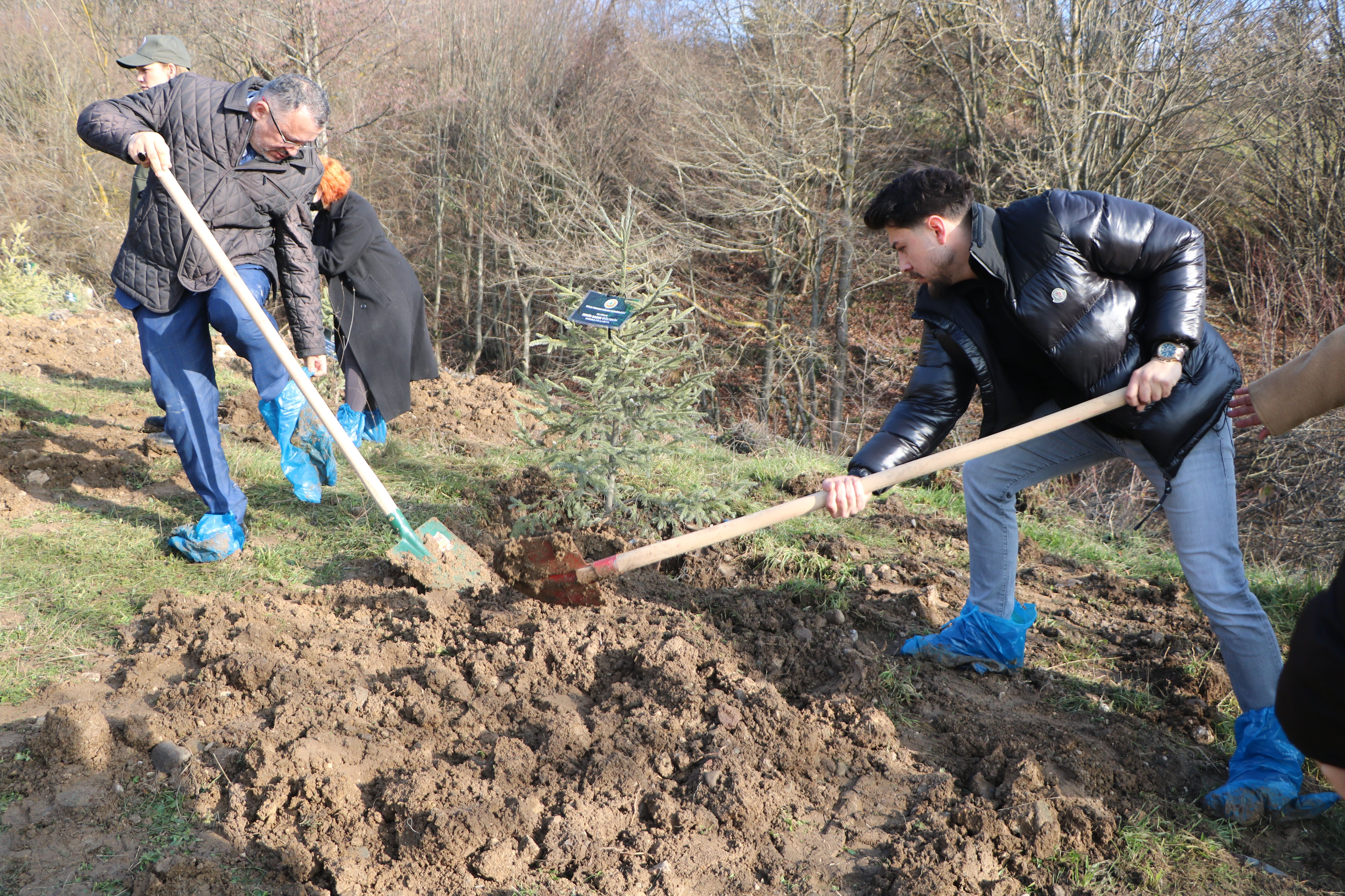 Yangında hayatını kaybedenlerin anısına hatıra ormanı