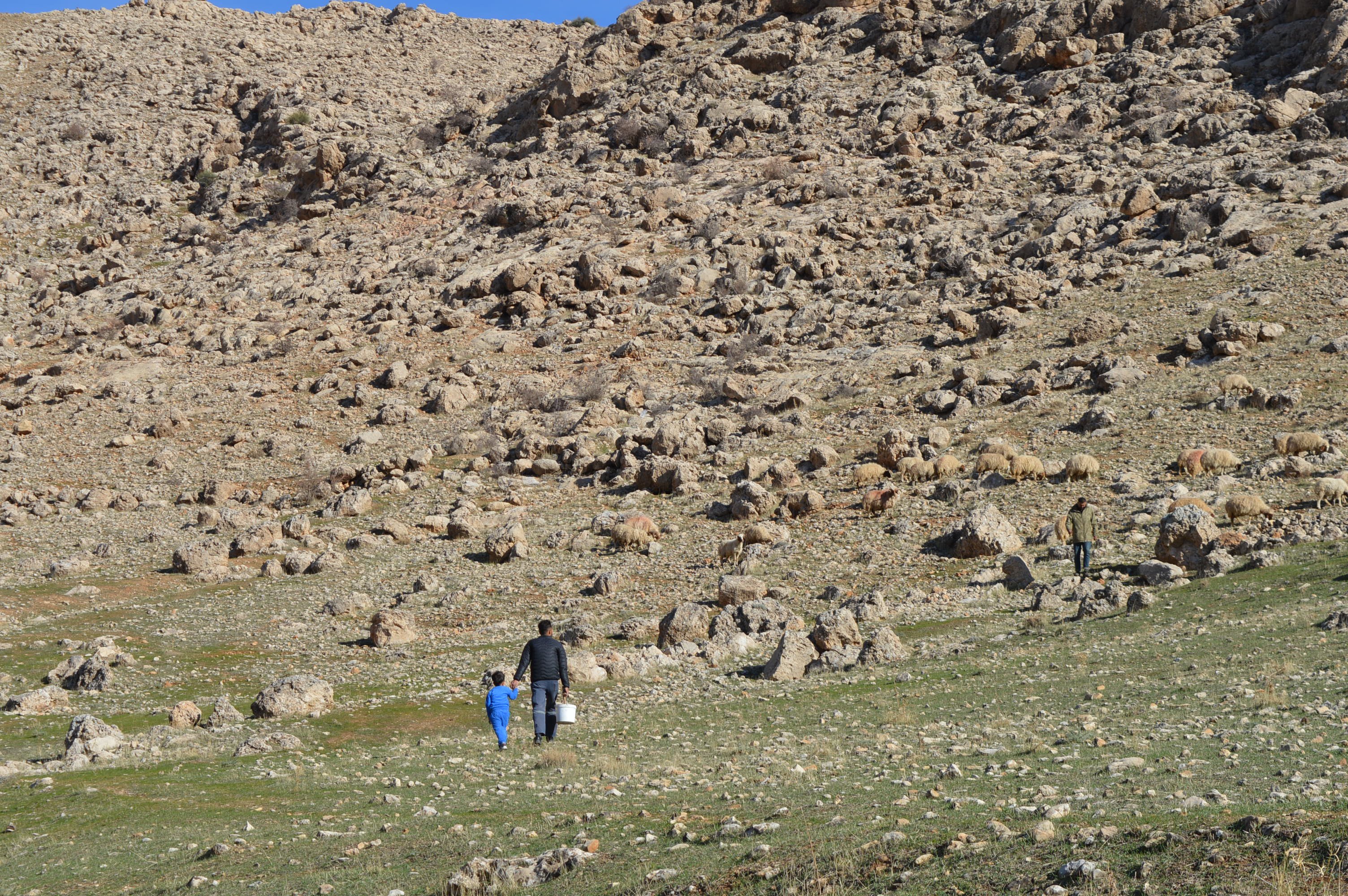 Çevre Bakanlığı fidan dikimi