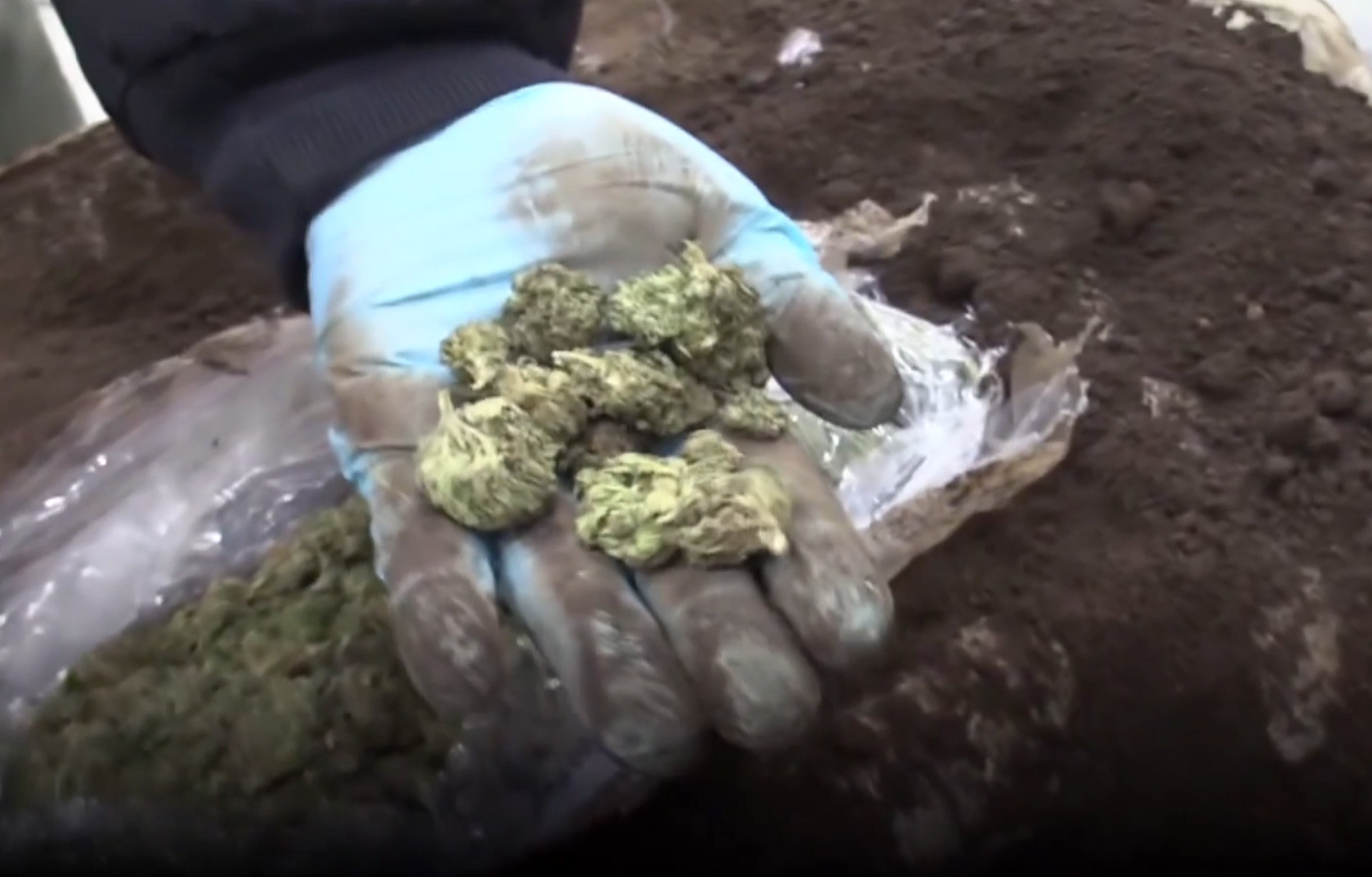 Gümrük kaçakçılığı istatistikleri