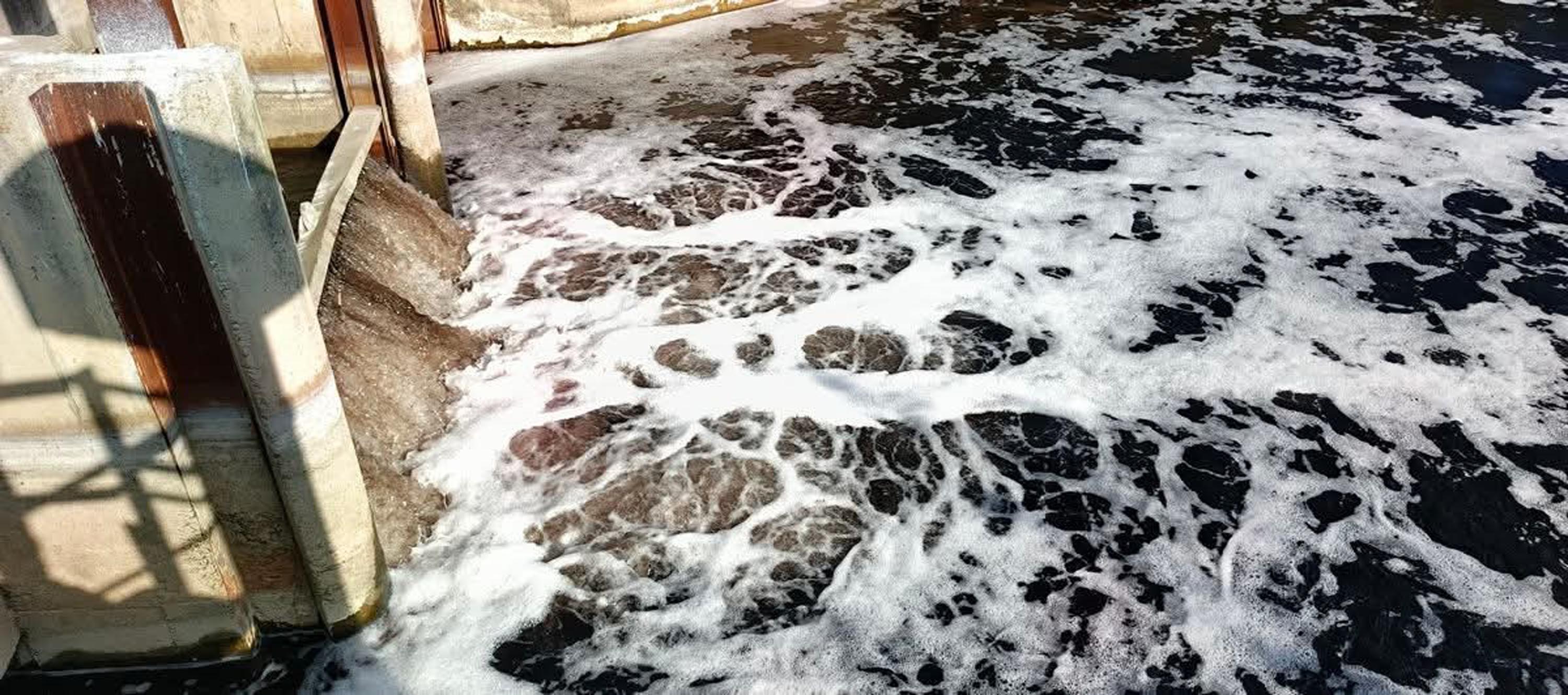 Bafa Gölü balık ölümleri