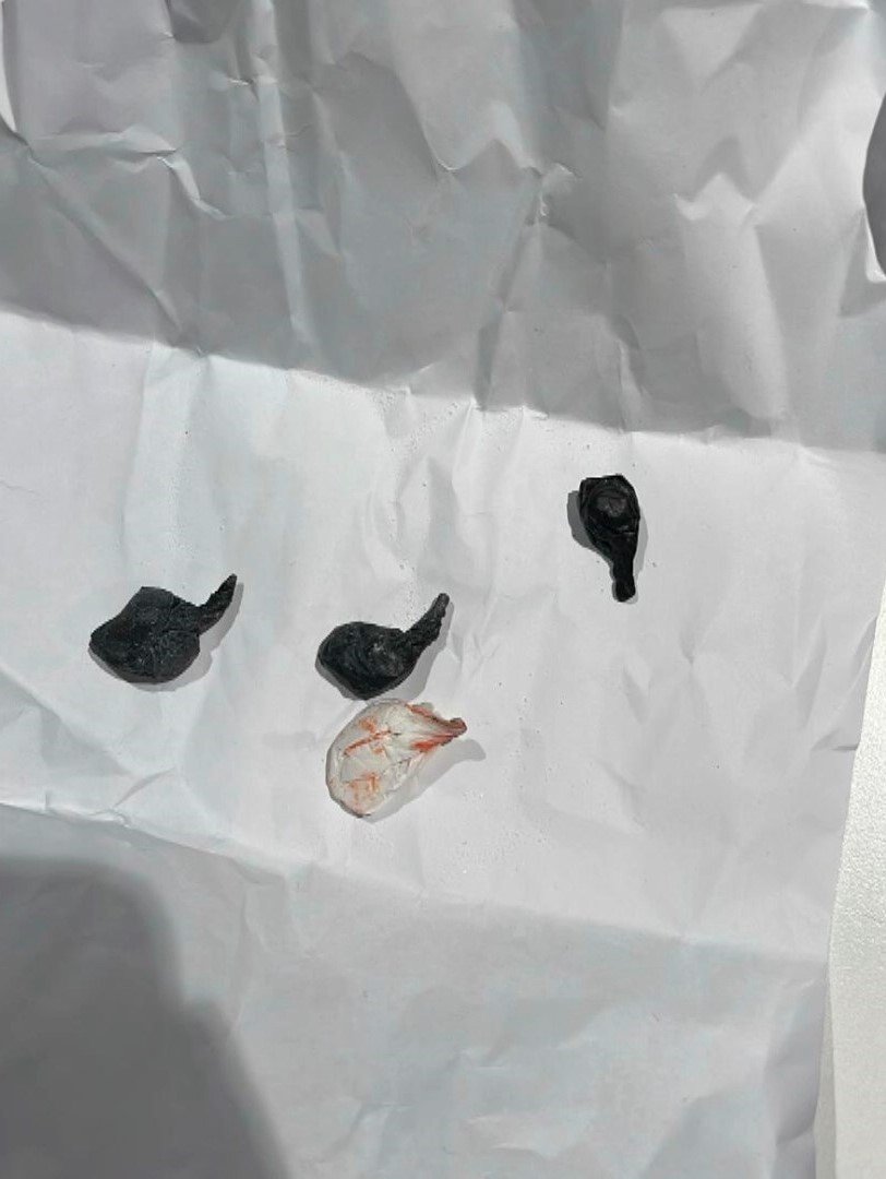 Uyuşturucu ile mücadele operasyon görüntüleri