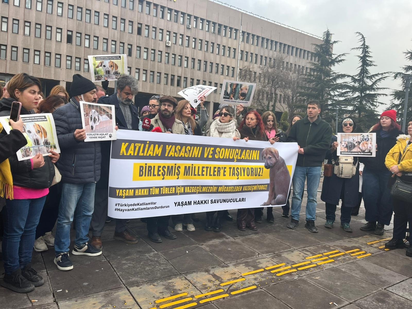 Ankara Barınağı Skandalı Hayvansever Tepkisi