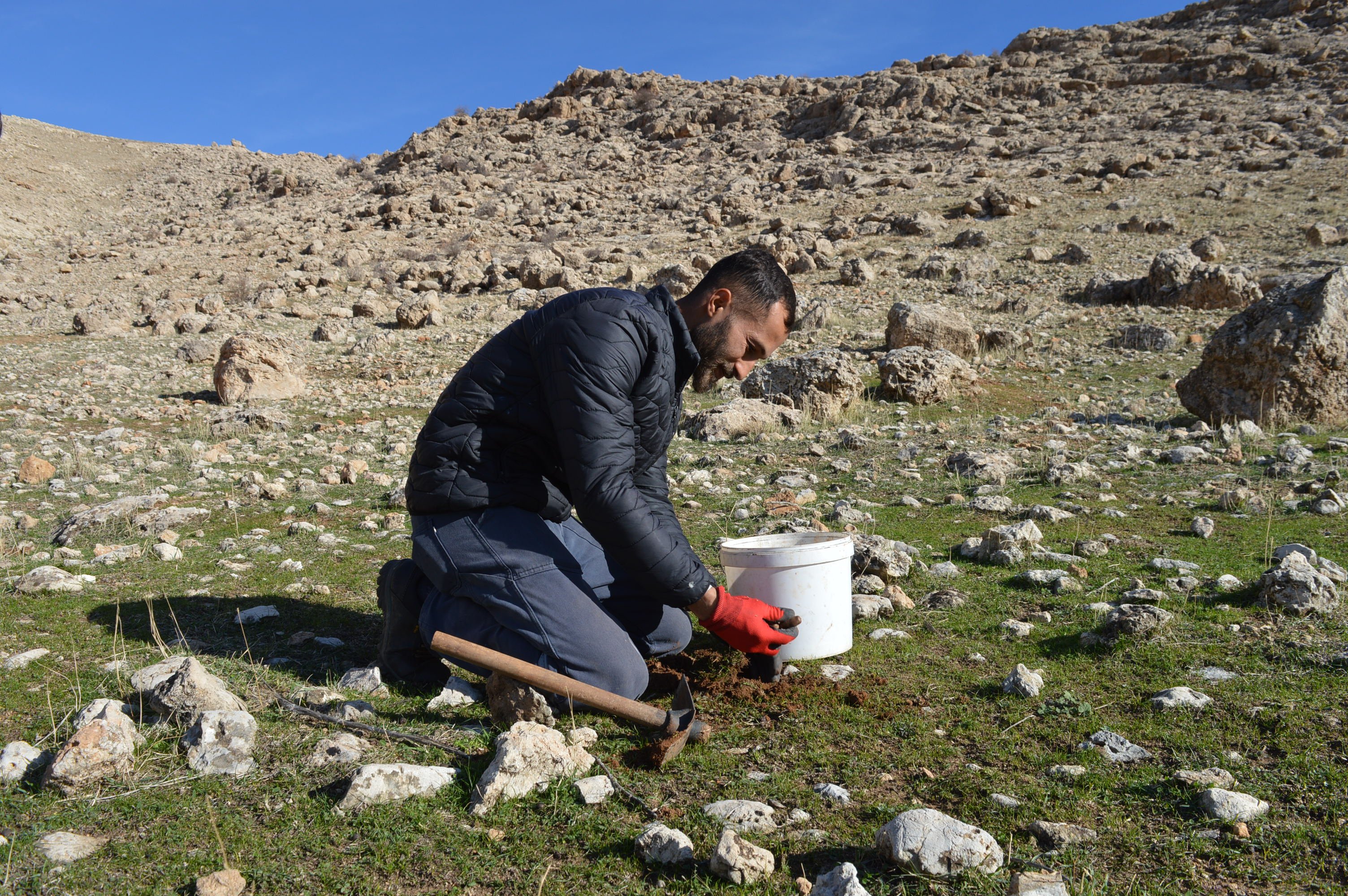 gönüllü fidan dikimi