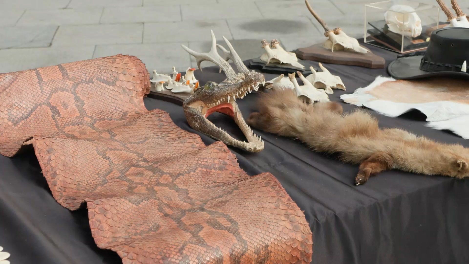 Ele geçirilen tarihi silahlar ve objeler