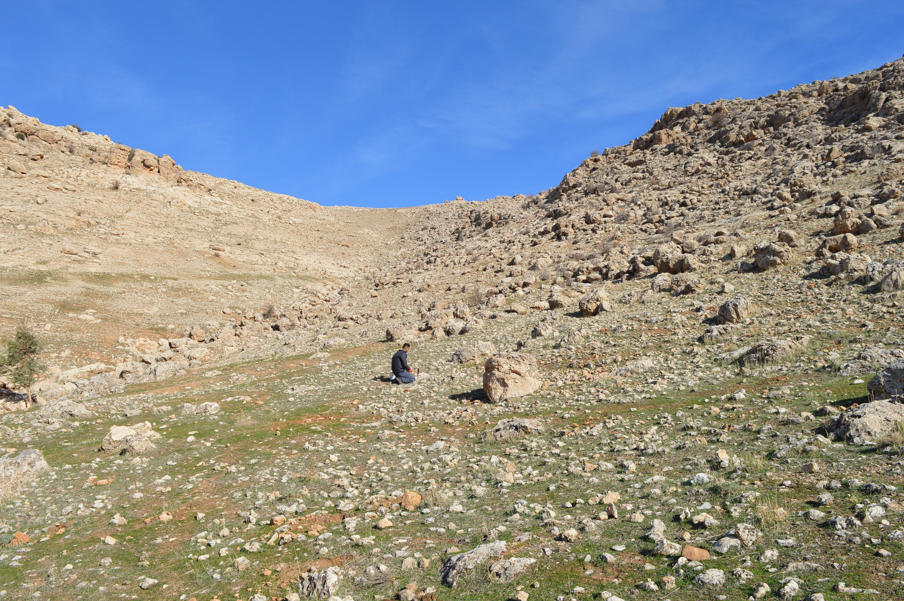 iklim değişikliği fidan dikim çalışması