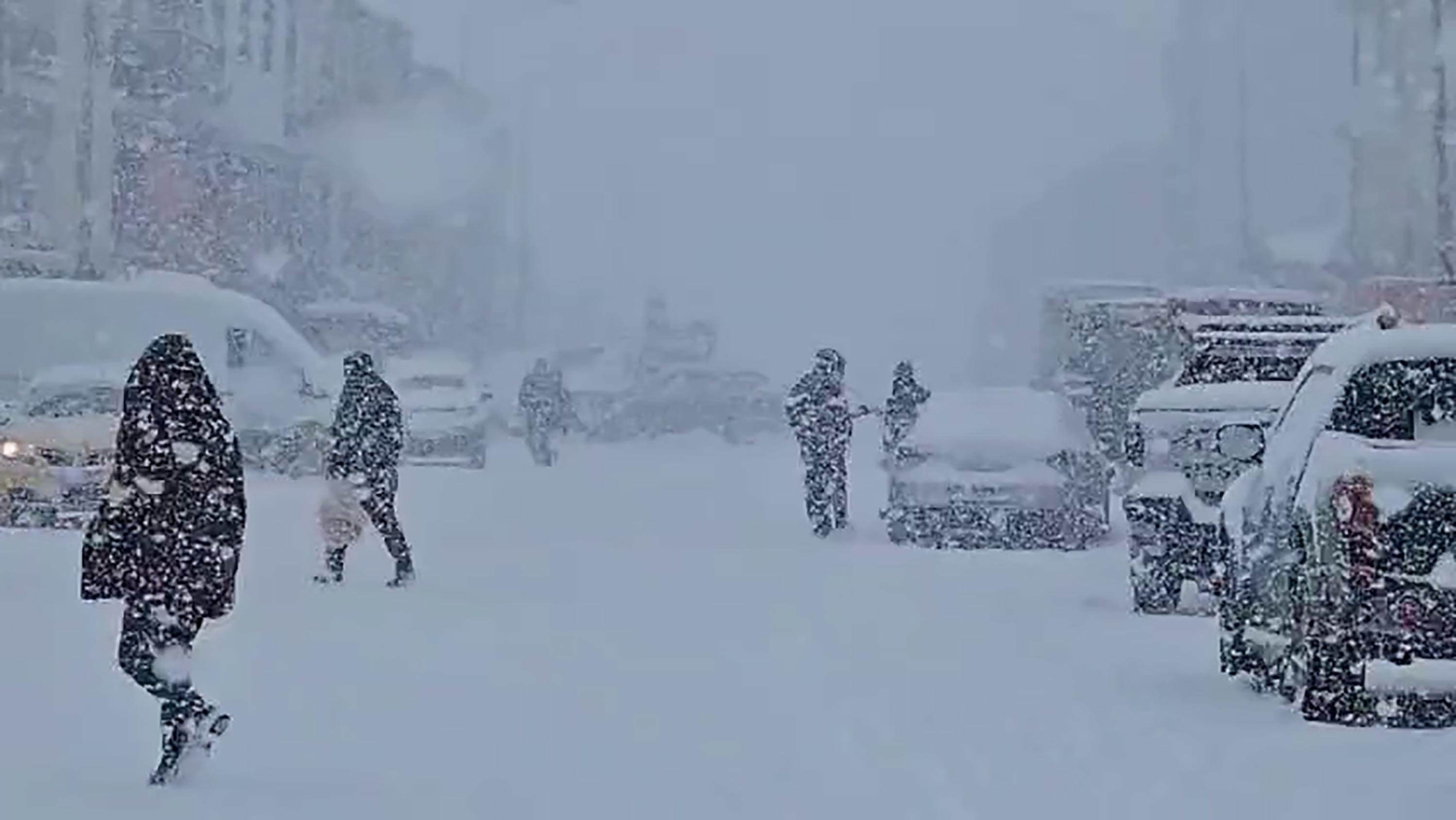 Doğu Anadolu kar yağışı