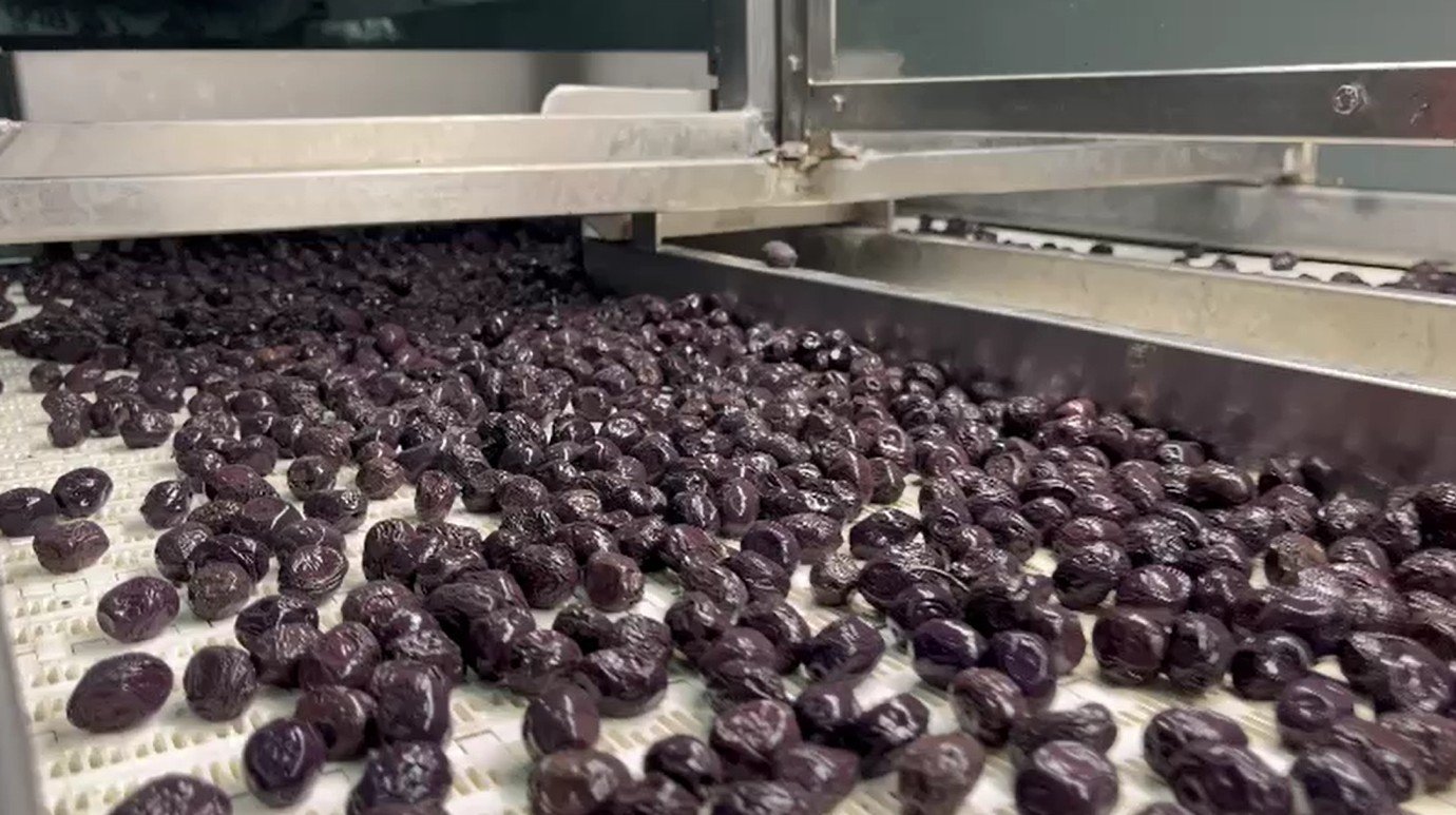 TSK Lojistik ve Sağlık Hizmetleri