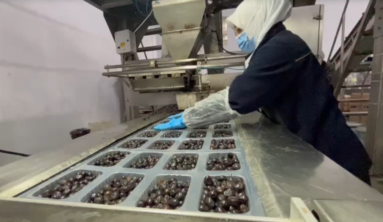 Marmarabirlik tesisleri