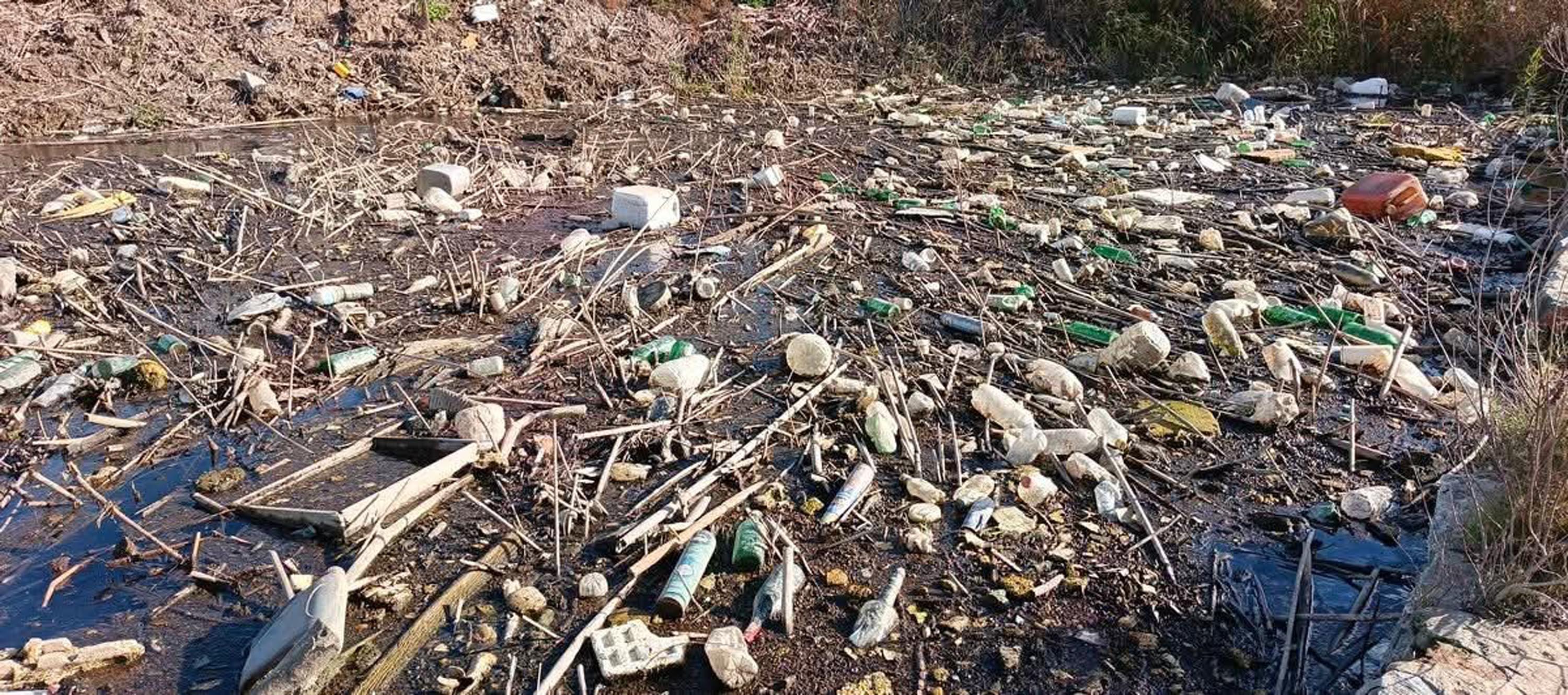 Bafa Gölü ekosistem