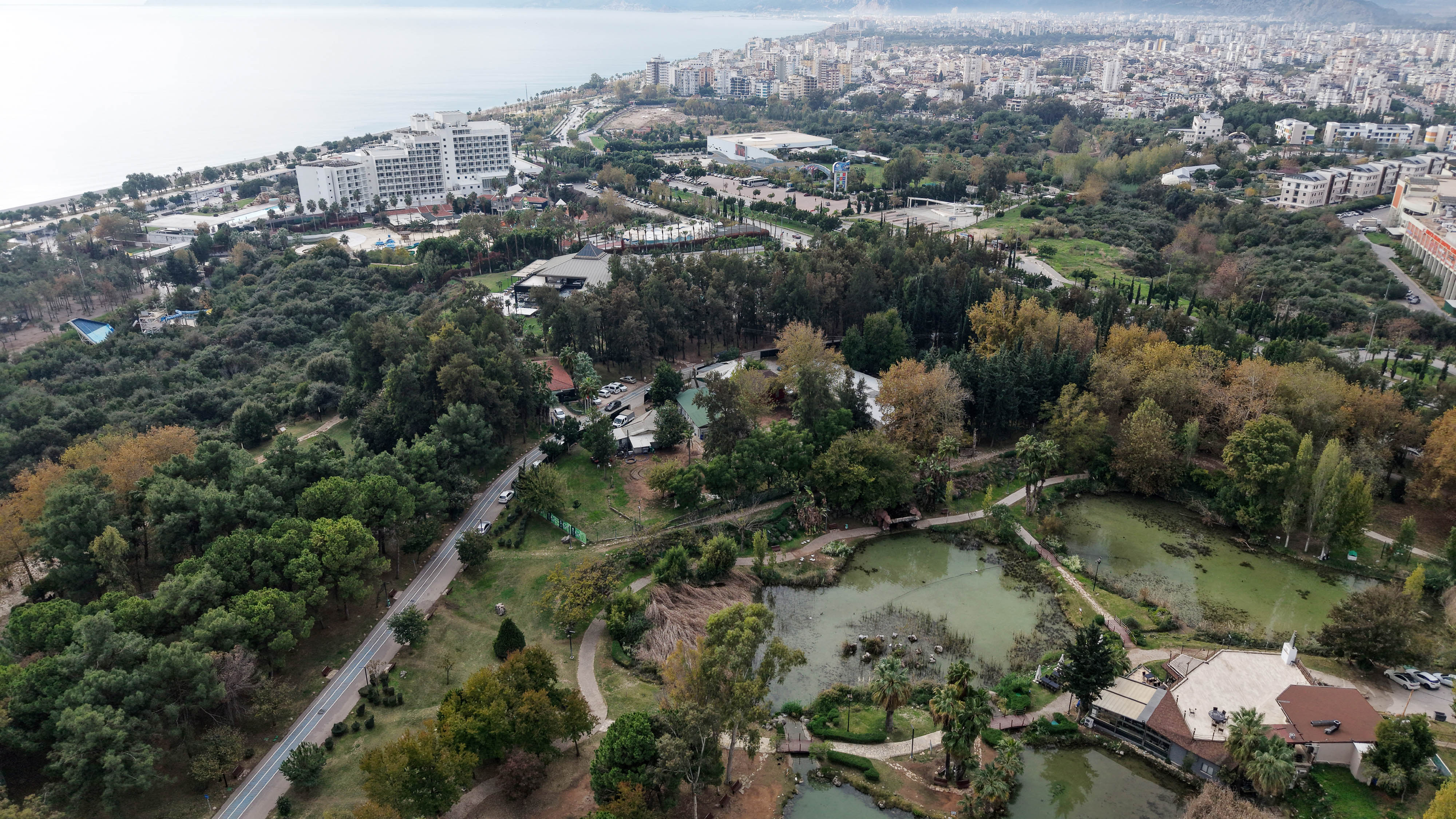 Antalya Arazi Davası Hukuk Süreci