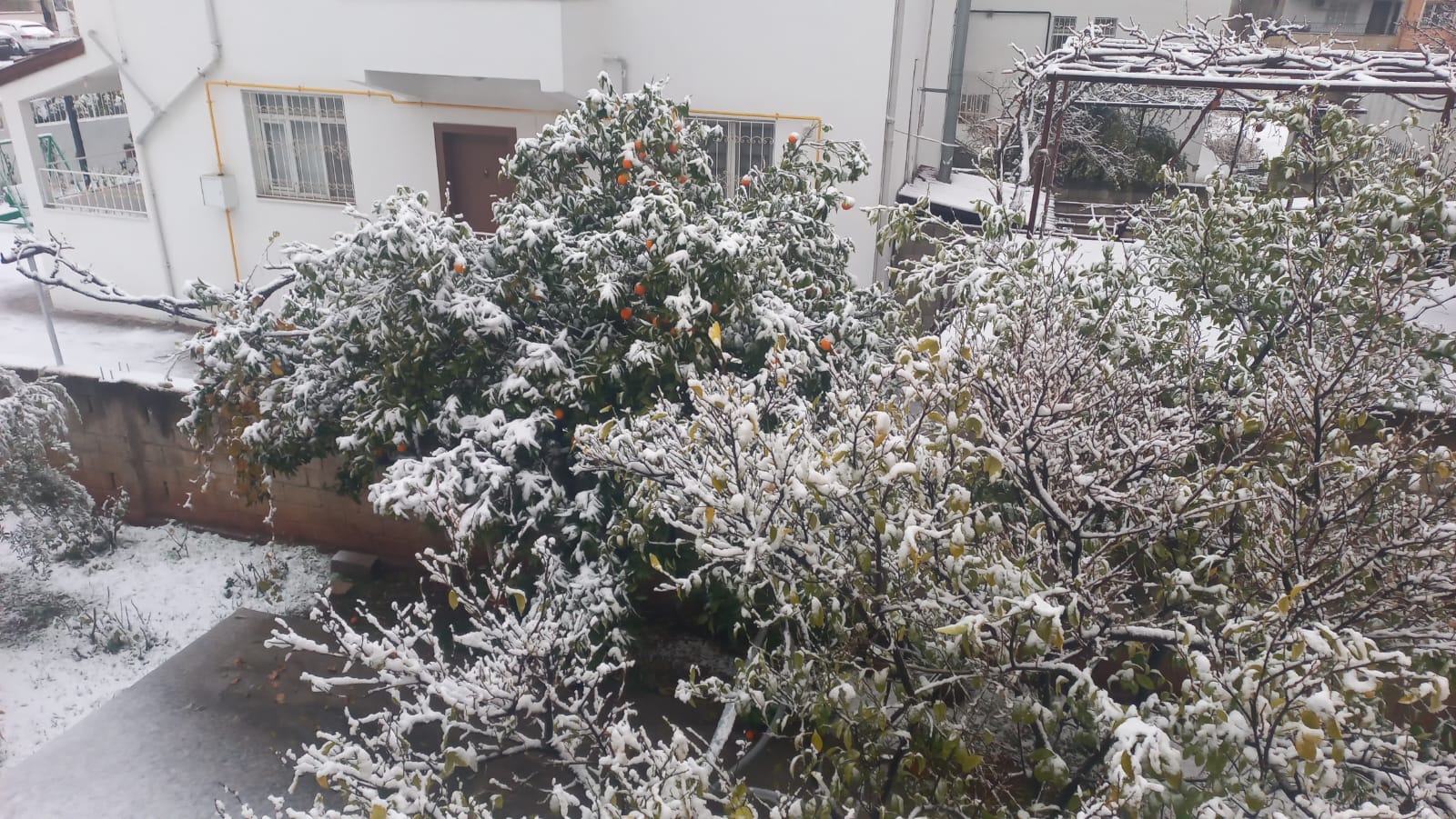 Hakan Fidan Açıklama