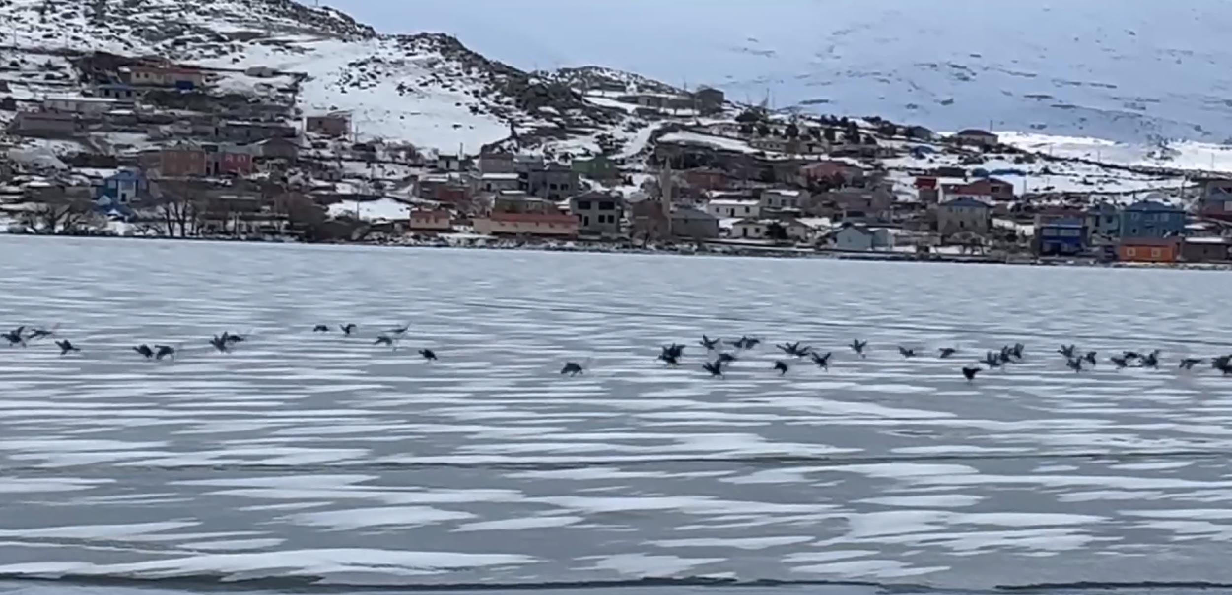 Çıldır Gölü donmamış hali