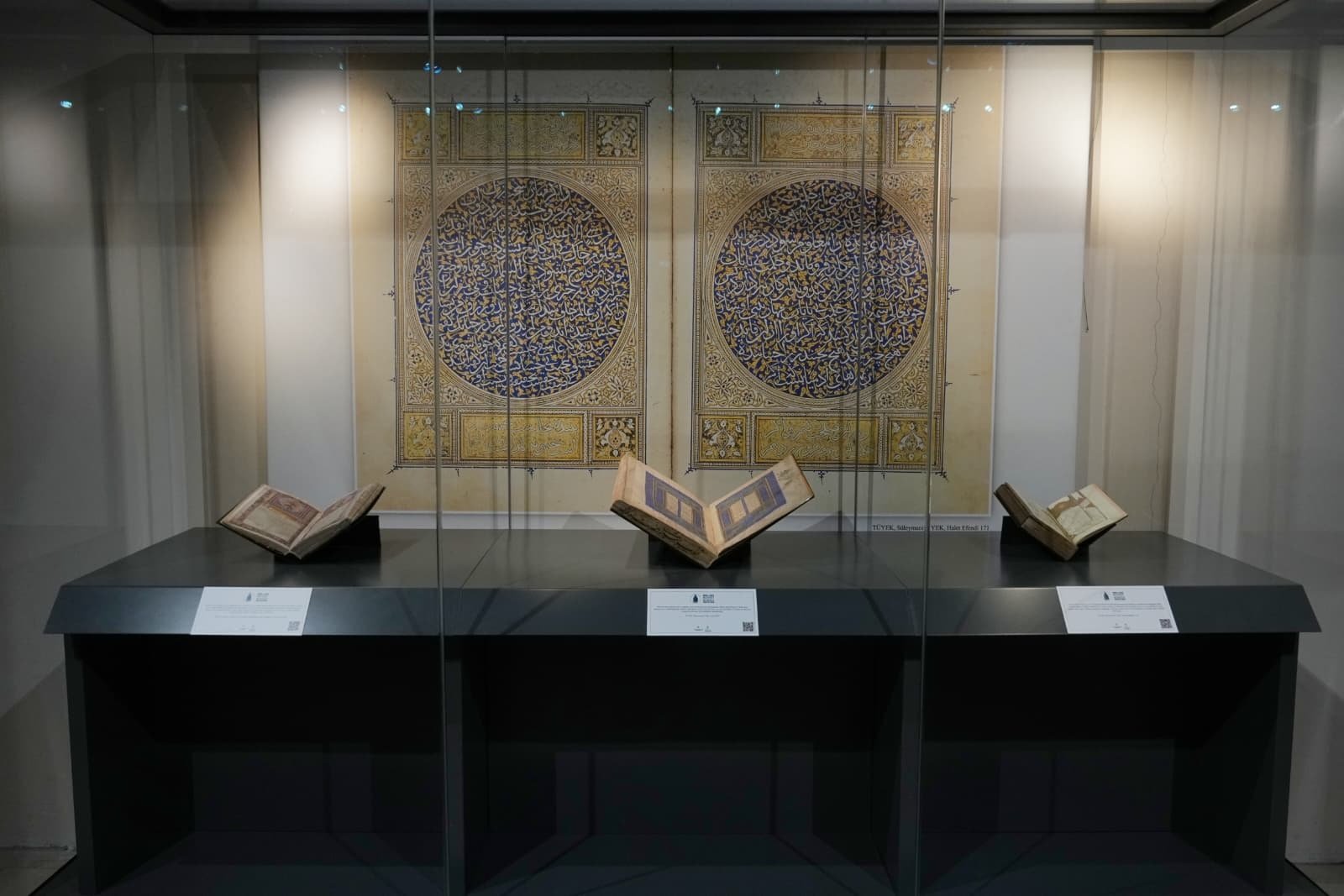 Sergide yer alan tarihi yazma eserler