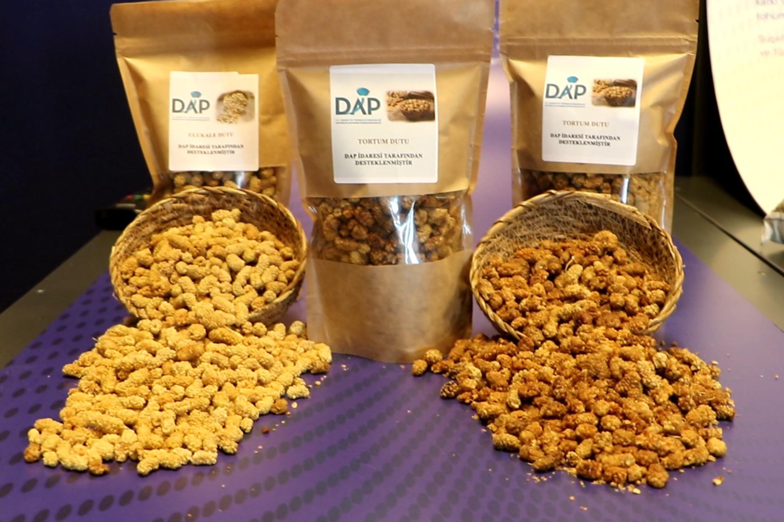 DAP Tarım Projeleri Z Kuşağı