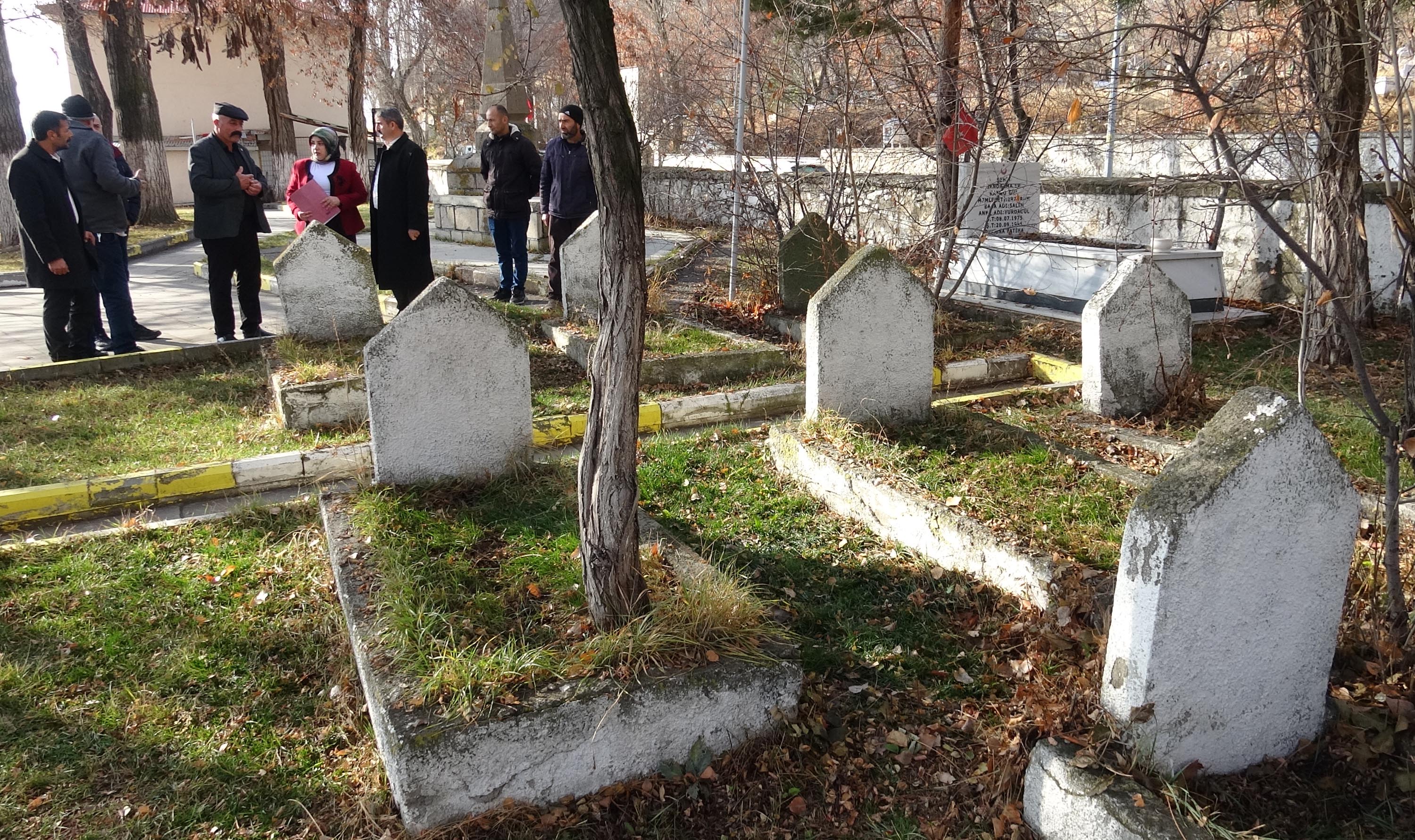 Merve Tekin Araştırma