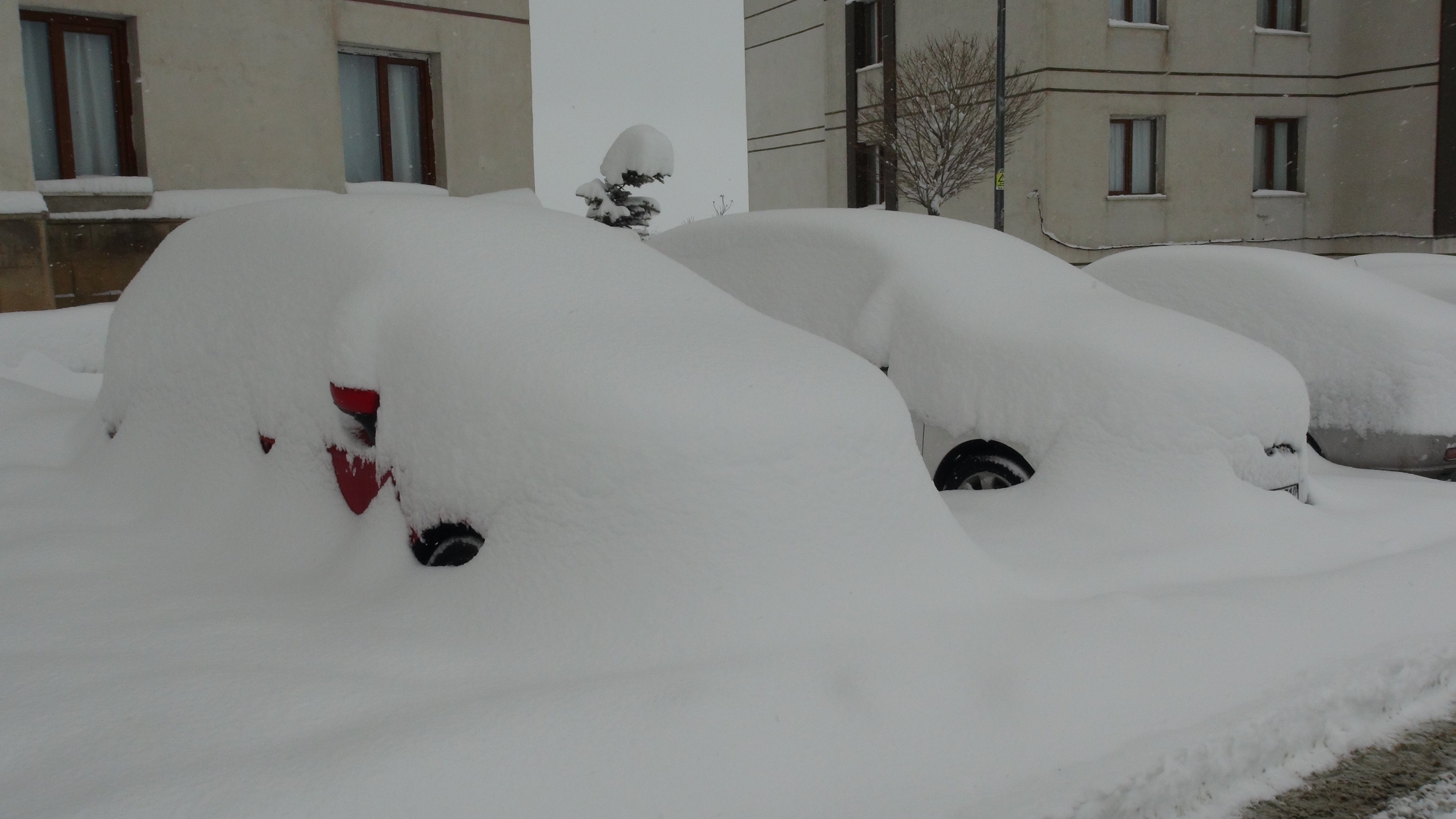 Hakkari kar mücadele ekipleri
