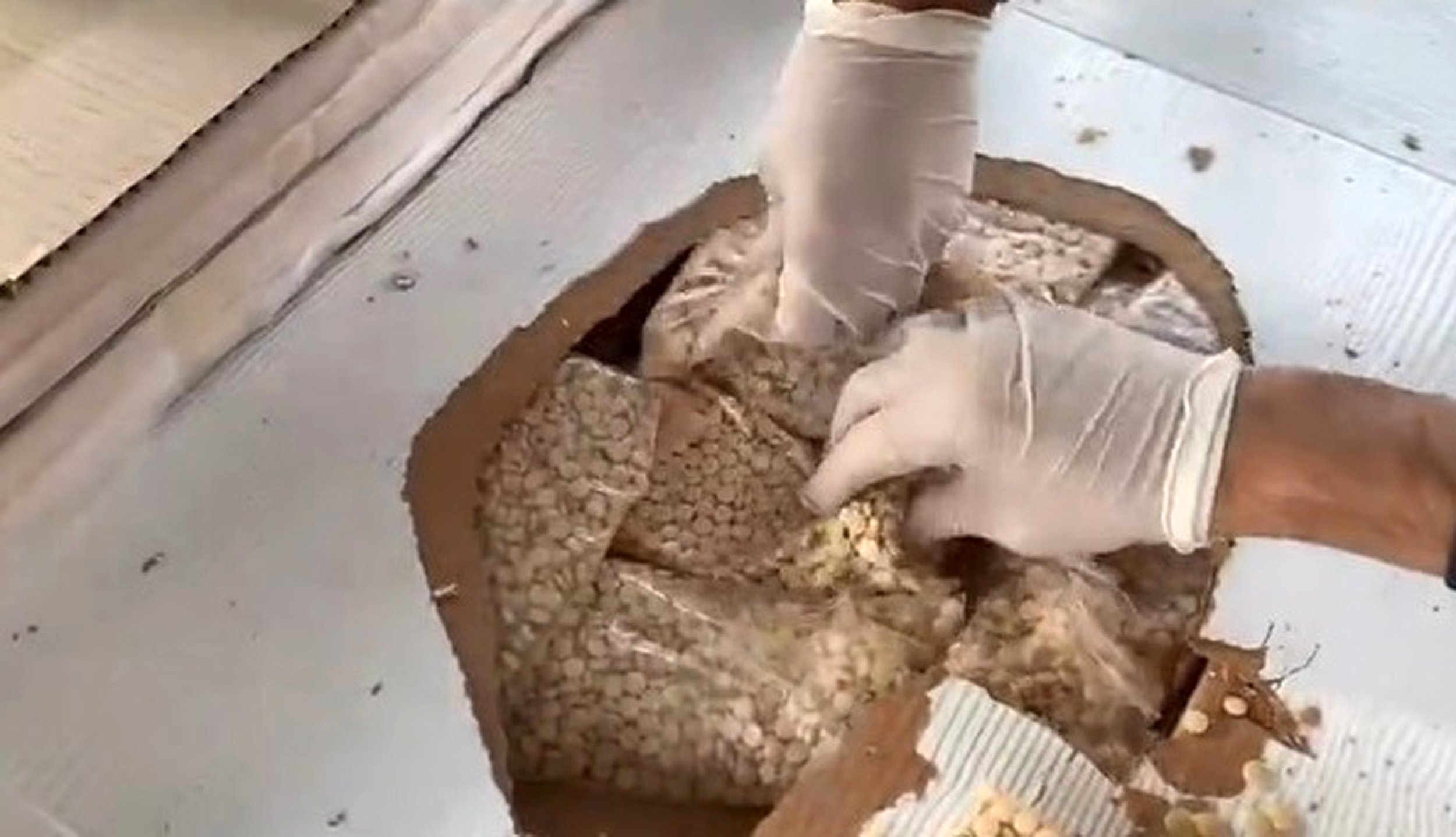 Gümrük Muhafaza ekipleri başarısı