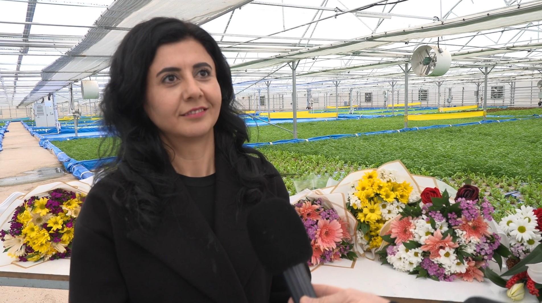 Topraksız tarım sera projesi