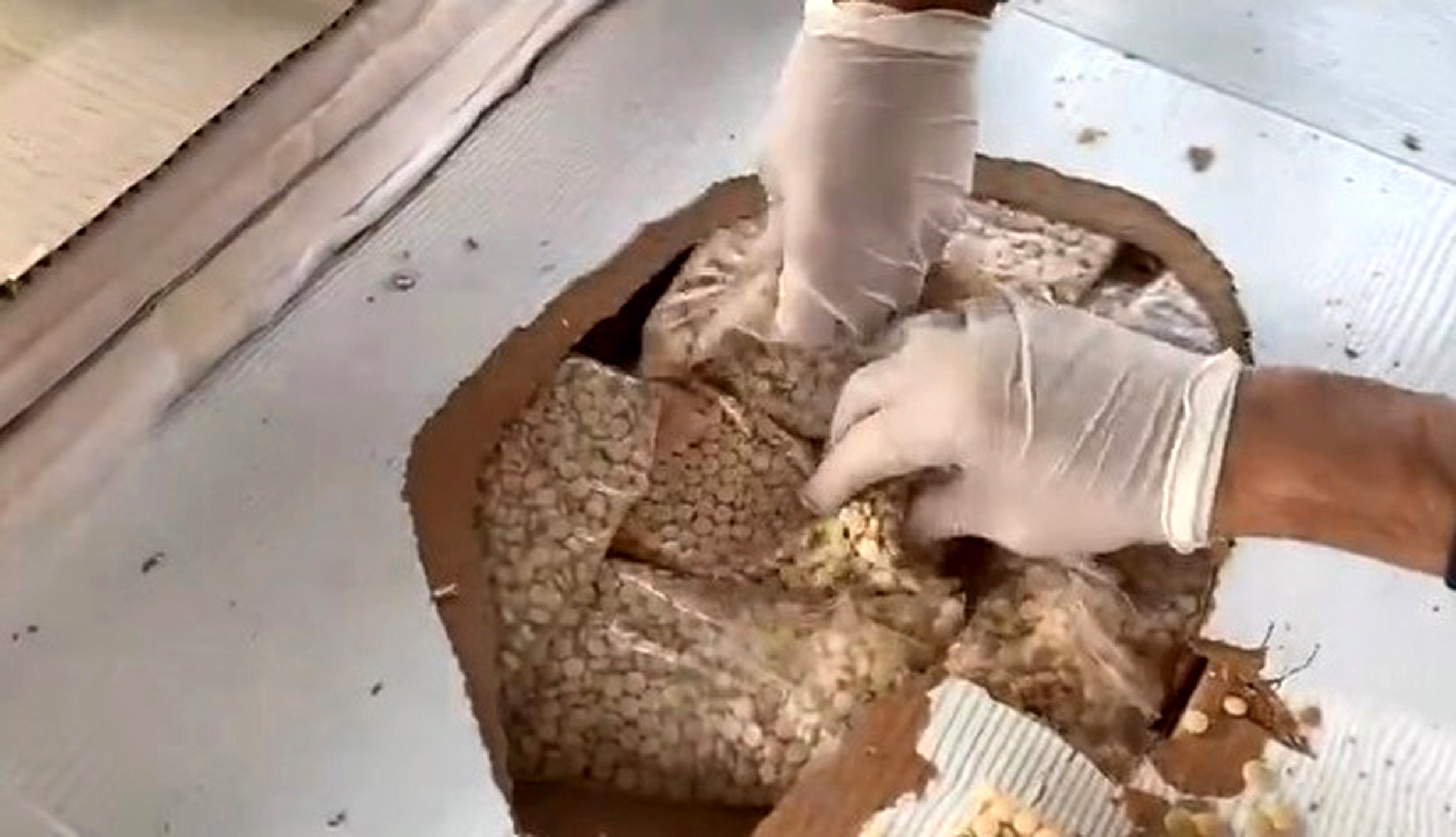 Gümrük Muhafaza ekipleri operasyon