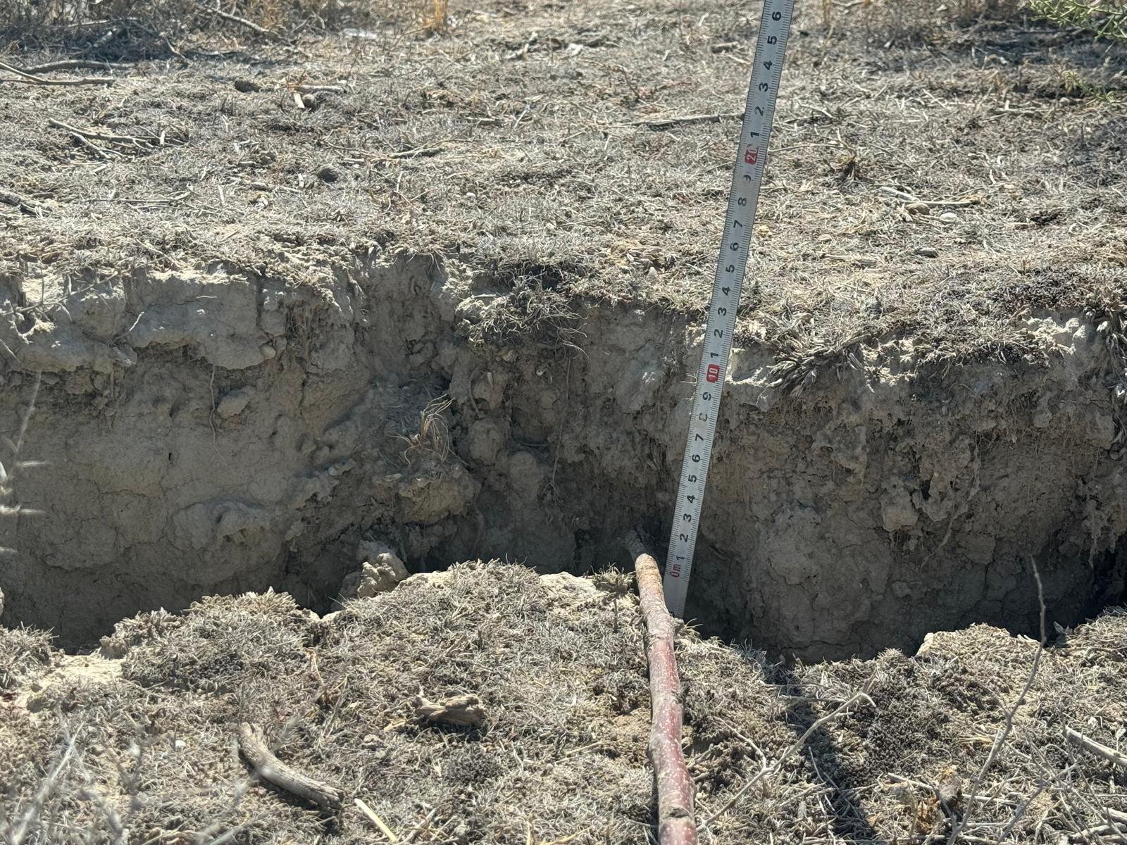 Konya Çevre ve Şehircilik